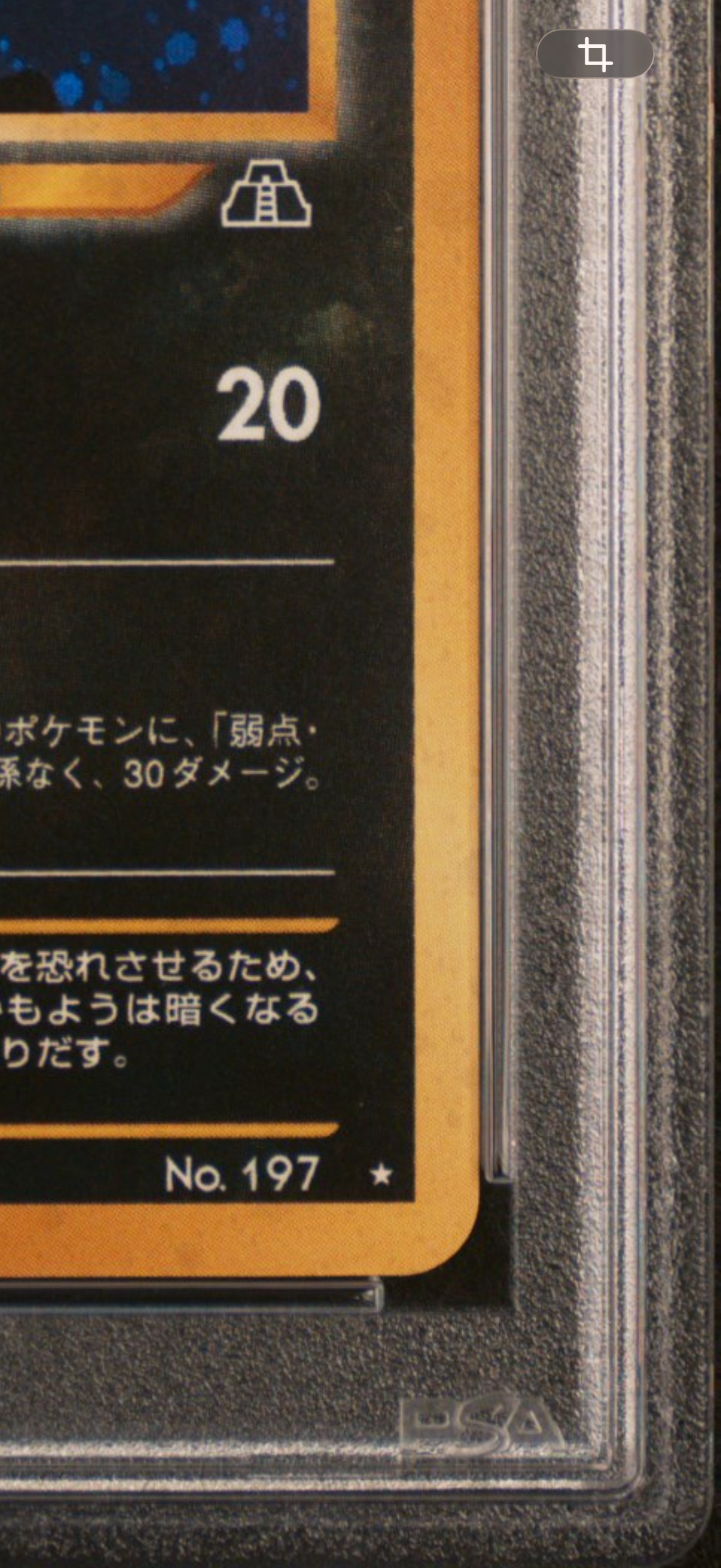 PSA10】ブラッキー ☆ : 旧裏 [neo2 No.197](ポケモンカード☆neo 拡張