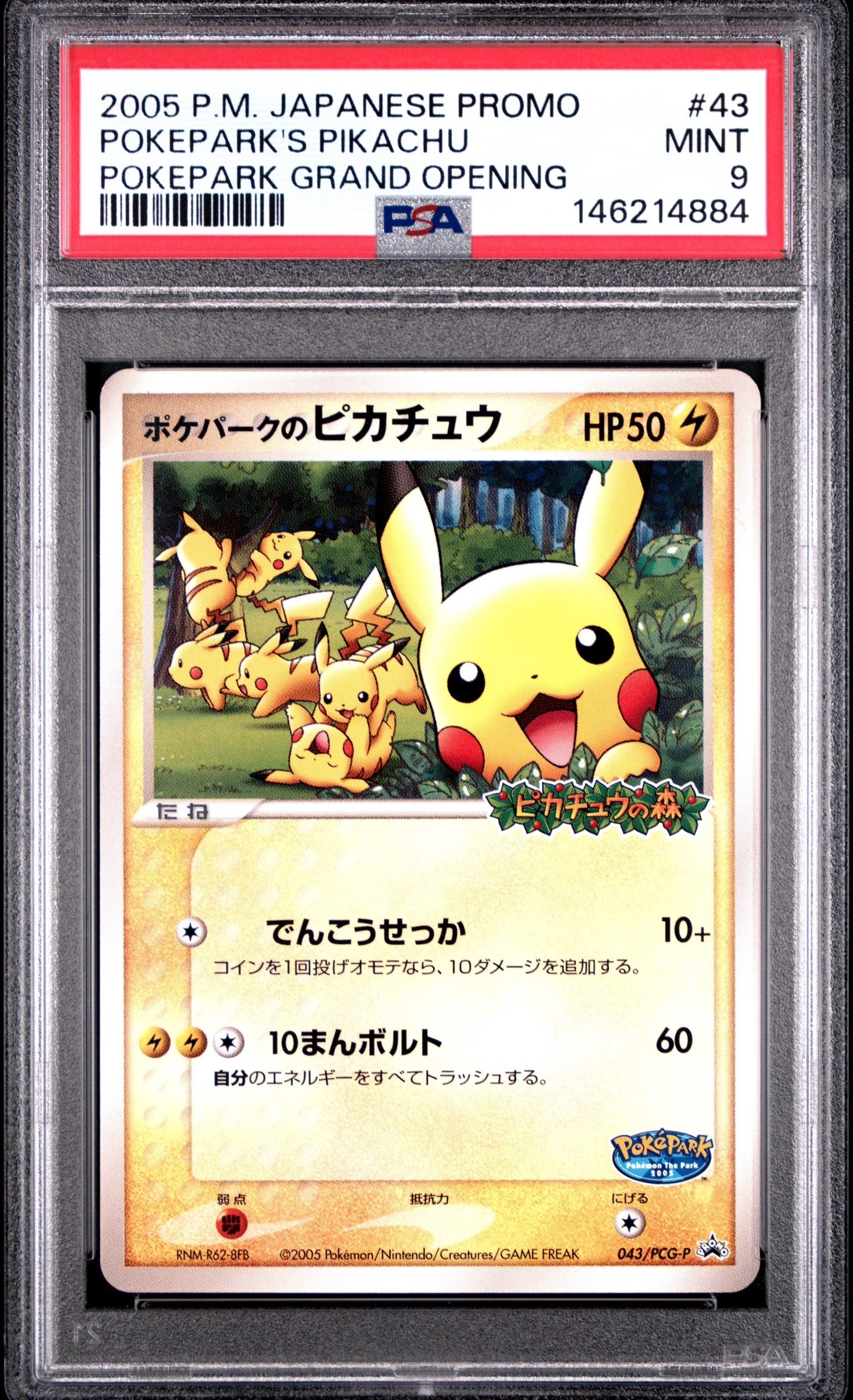 ポケパークのピカチュウ P [PCG-P 043](プロモーションカード
