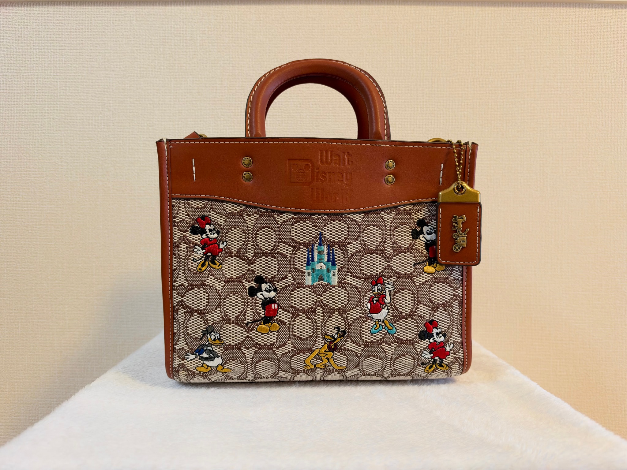 【極美品】COACH×ディズニー 50周年記念 ミッキー 刺繍 バッグ