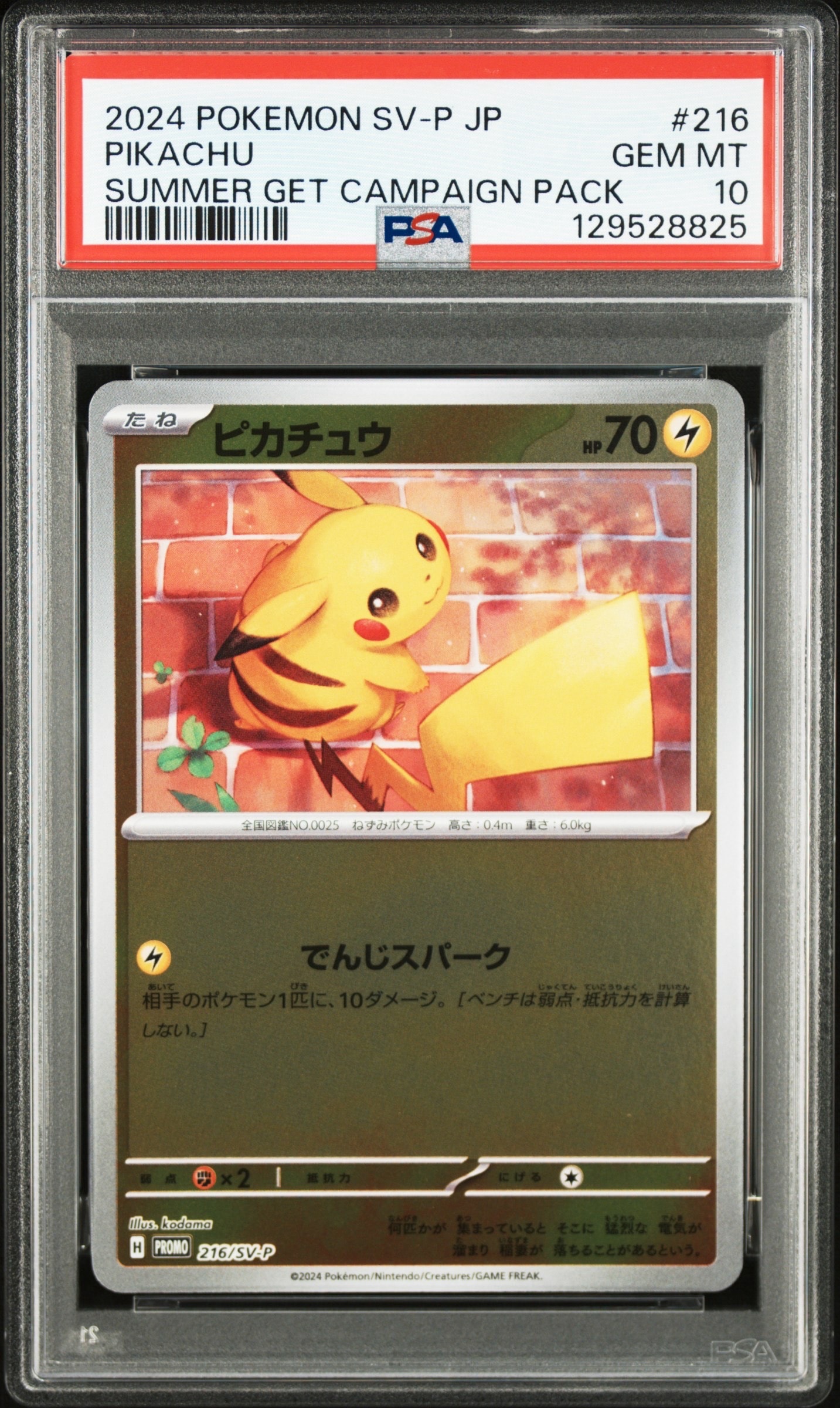 ピカチュウ P [SV-P 216](プロモカードパック「ポケカの夏がキタ!プロモカードGetキャンペーン!」)