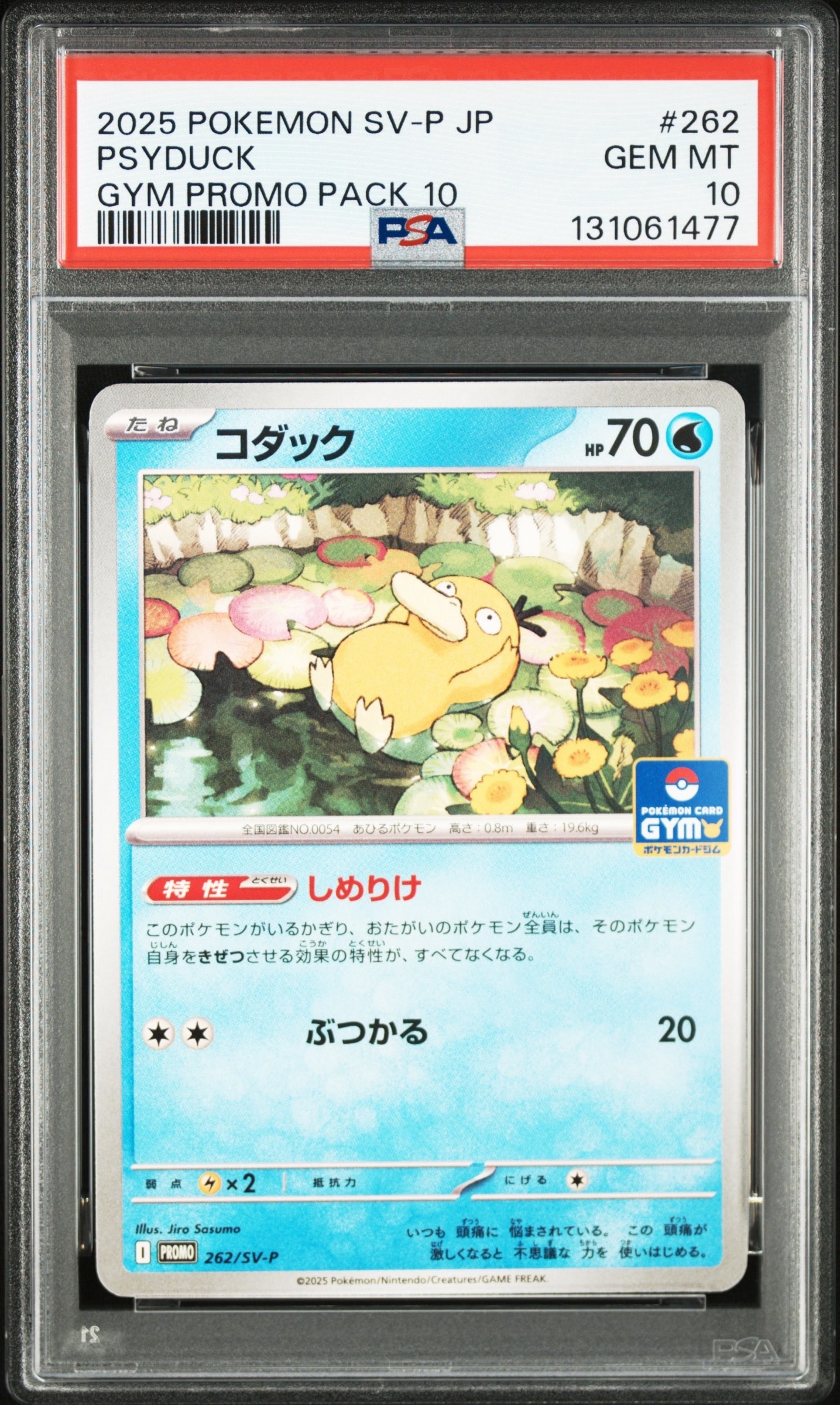 PSA10】カイリキー ☆ [web 048/048](ポケモンカード☆web) 1枚の中古