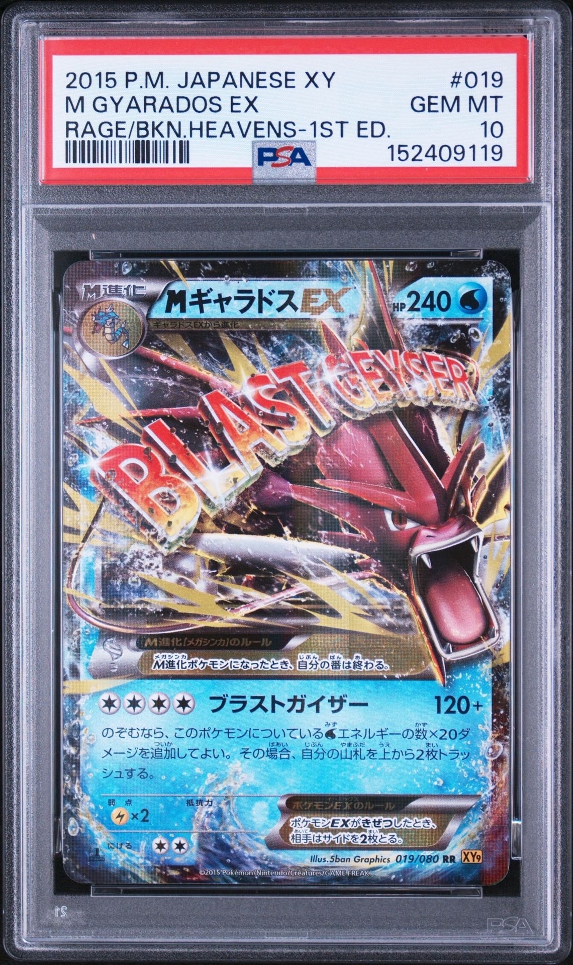 MギャラドスEX RR :1ED [XY9 019/080](拡張パック「破天の怒り」)通販