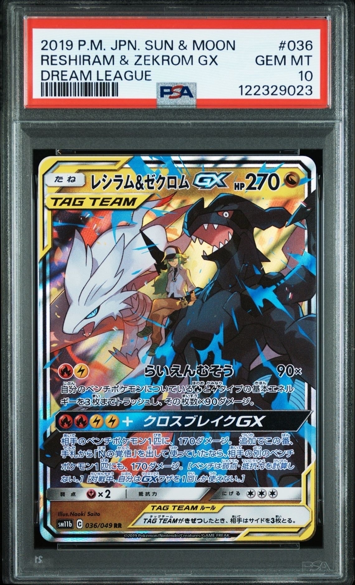 レシラム&ゼクロムGX (N) RR[SM11b 036/049](強化拡張パック「ドリームリーグ」)