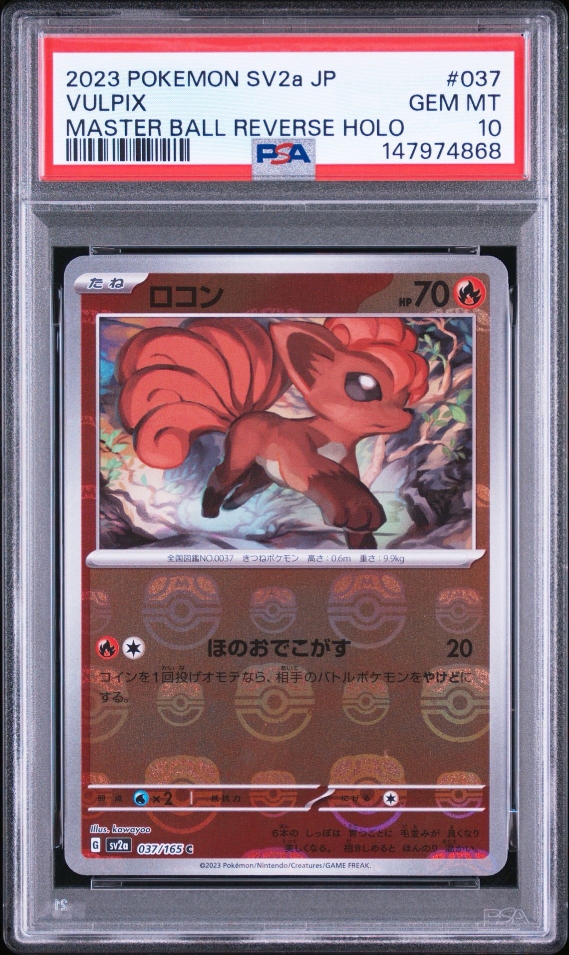 PSA10】MアブソルEX P [XY-P](プロモーションカード「バトルフェスタ