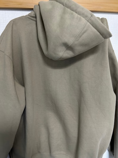 Supreme x Champion Zip Up Hooded Sweatshirt "Tan"