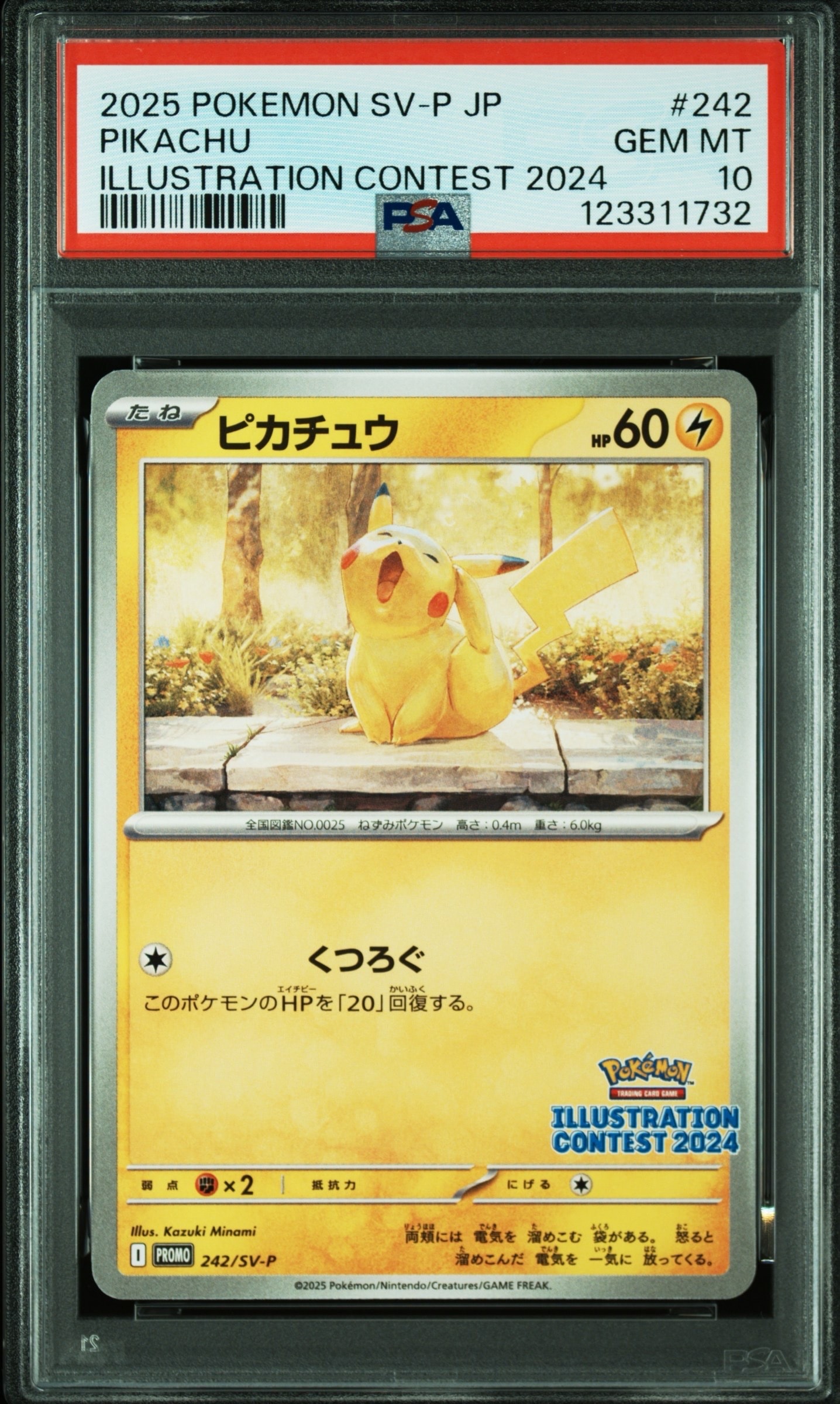 ピカチュウ [SV-P 242](プロモカードパック「イラストレーションコンテスト 2024 受賞作品プロモカード化記念キャンペーン」)