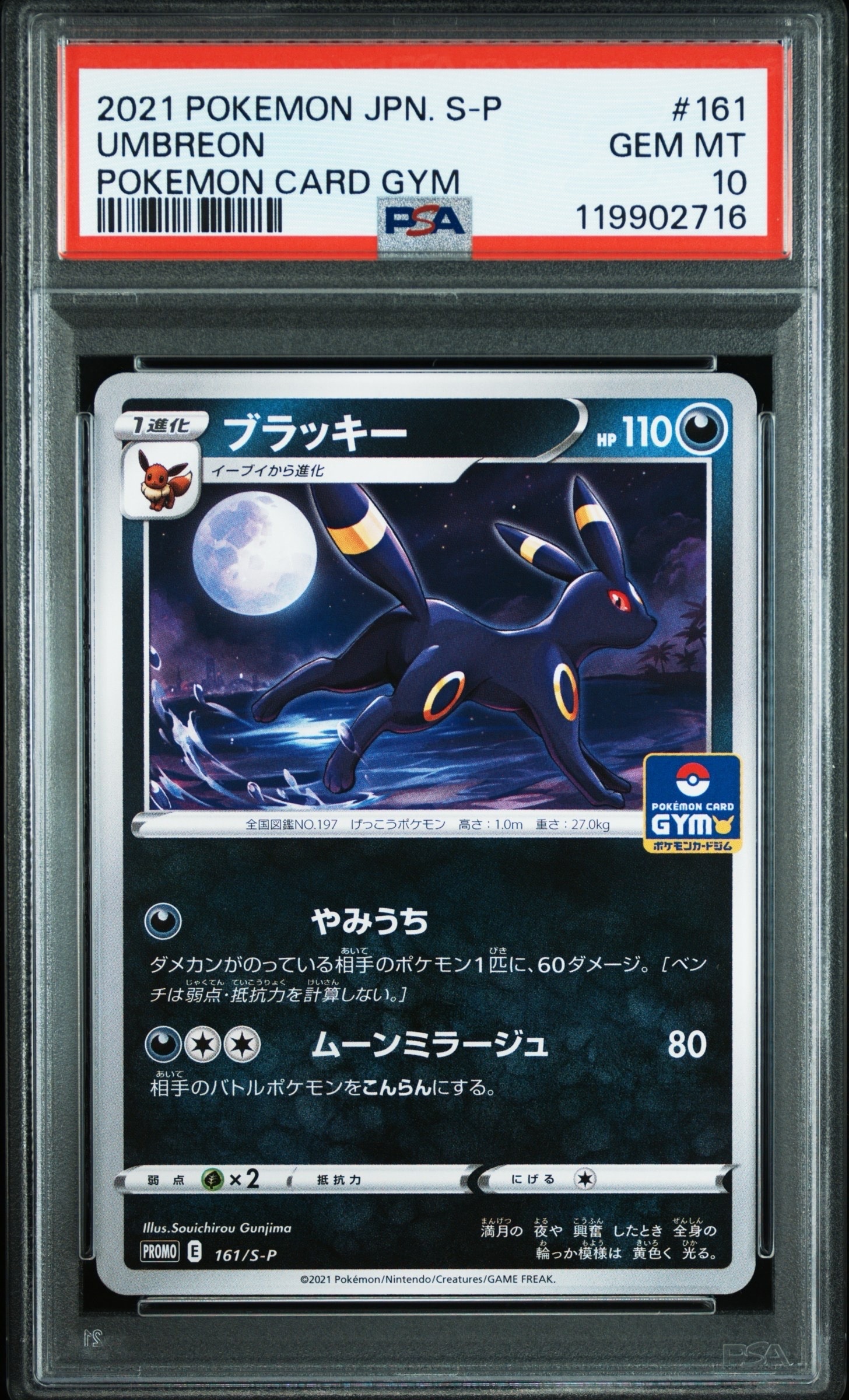 ブラッキー: プロモ P [S-P 161](ポケモンカードゲーム ソード&シールド 「プロモカードパック 第5弾」)