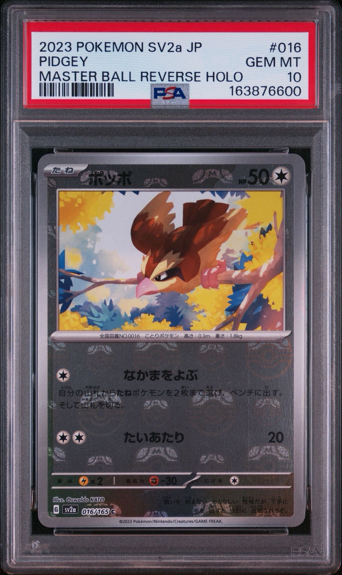 ポッポ C: マスターボールミラー[SV2a 016/165](強化拡張パック「ポケモンカード151」)
