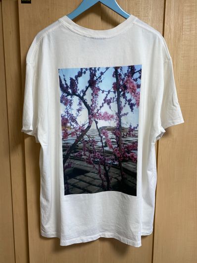 FEAR OF GOD ESSENTIALS Photo T-shirt "White"