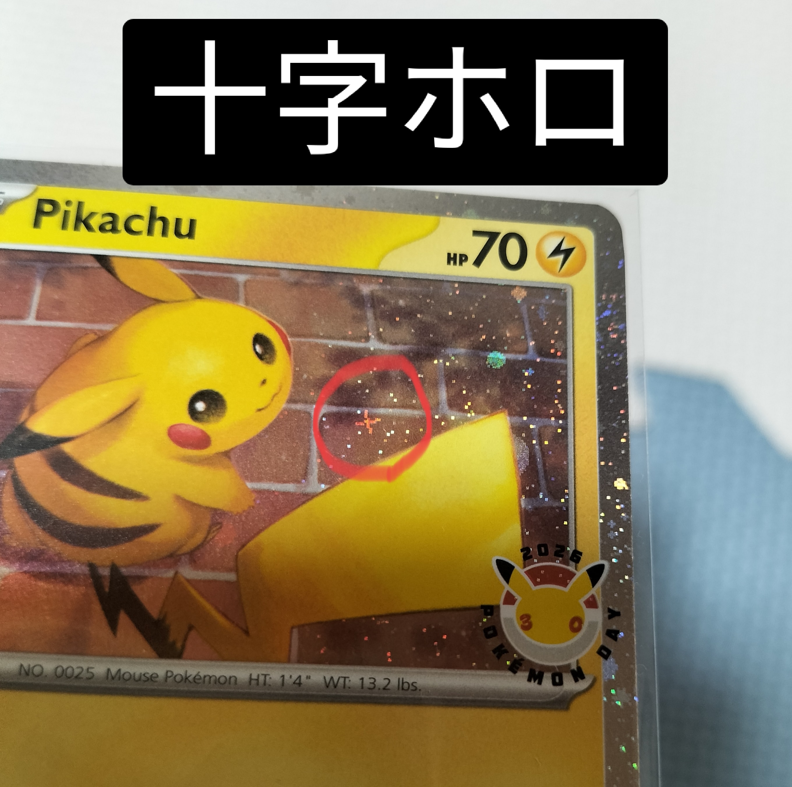 ピカチュウ C [TEF EN 051/162]【英語版】(メガエボリューション「ポケモンデイ 2026 コレクション」)