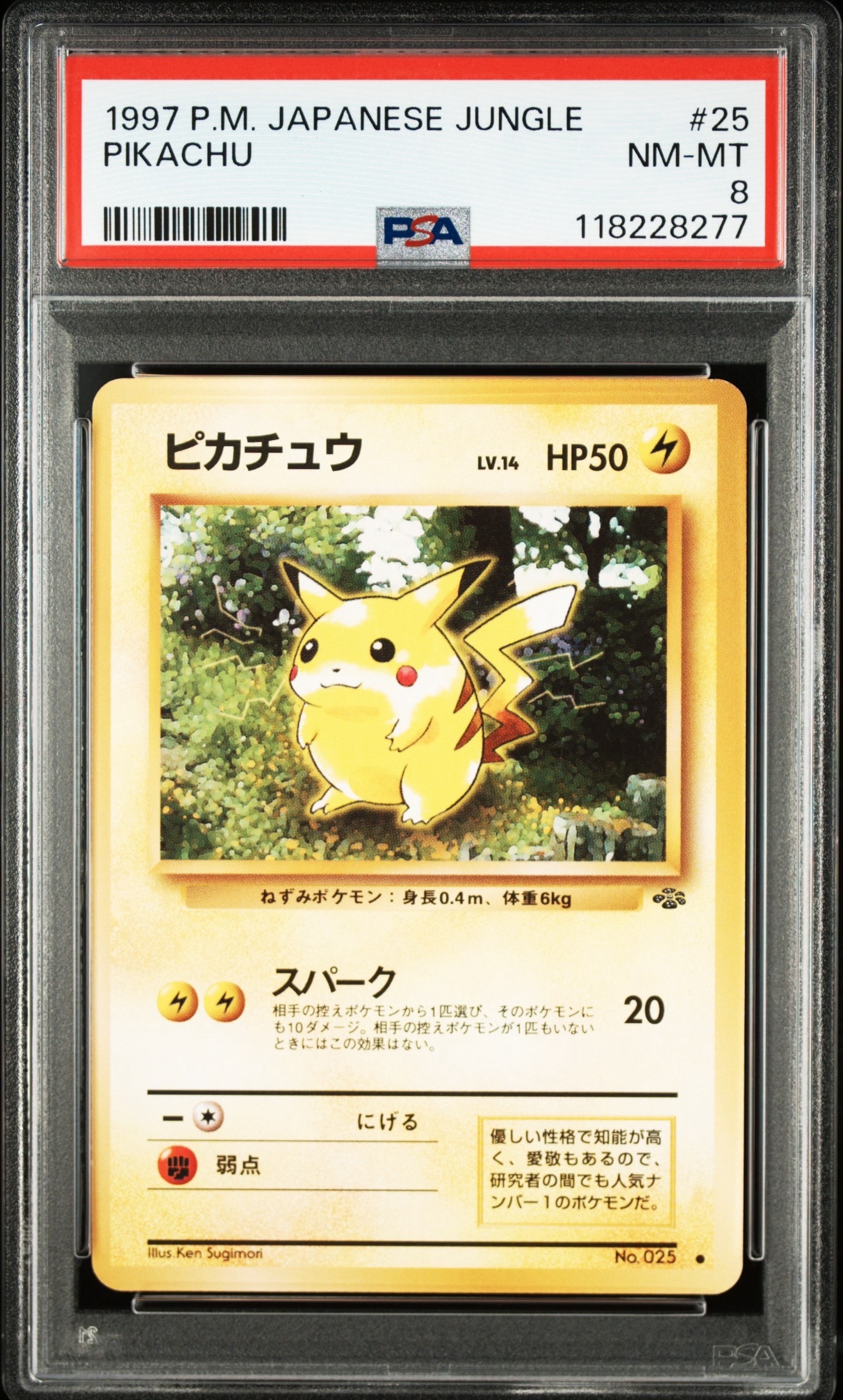 ピカチュウ ● : 旧裏 [PMCG2 No.025](拡張パック「ポケモンジャングル」)