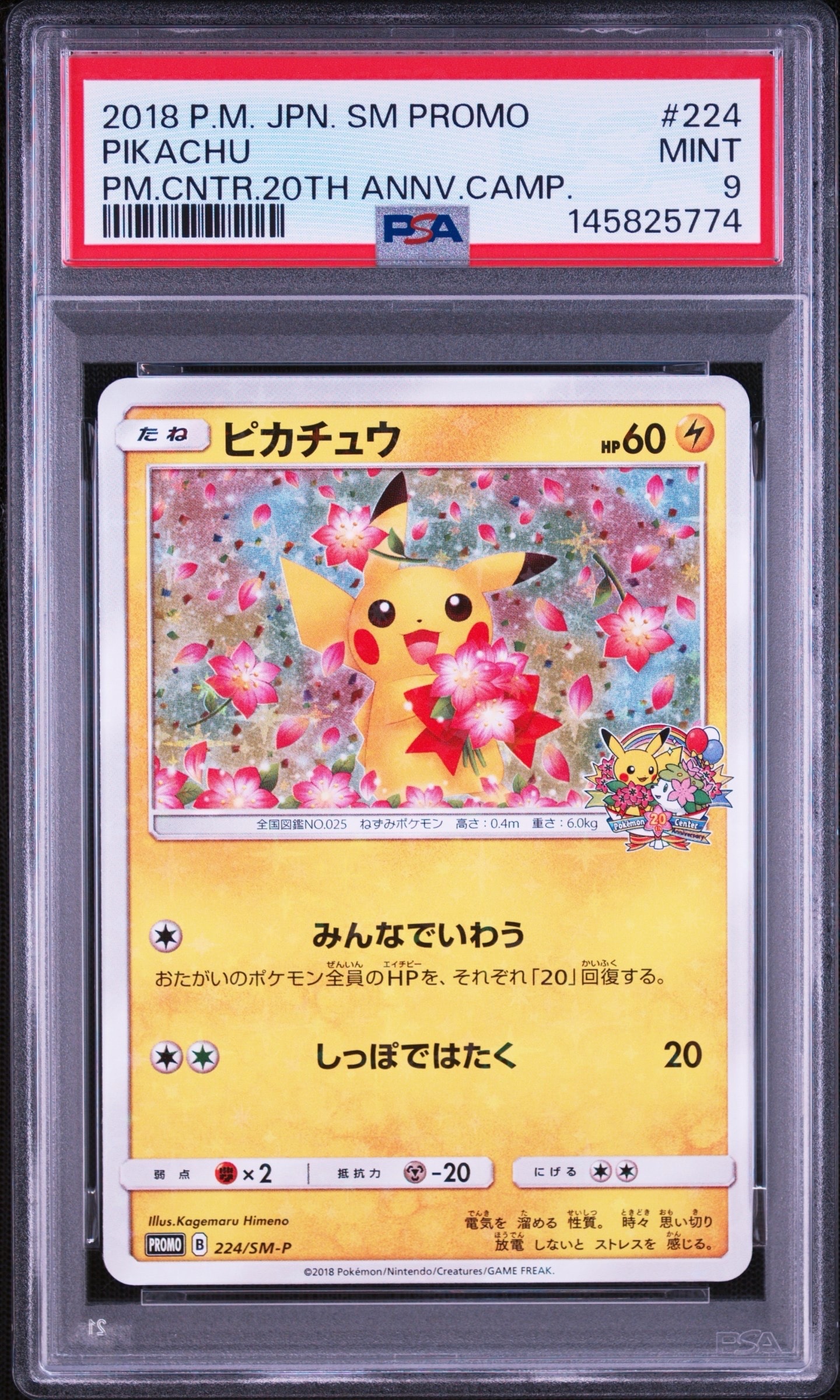 ピカチュウ: プロモ[SM-P 224](プロモーションカード「SM-P」)の新品