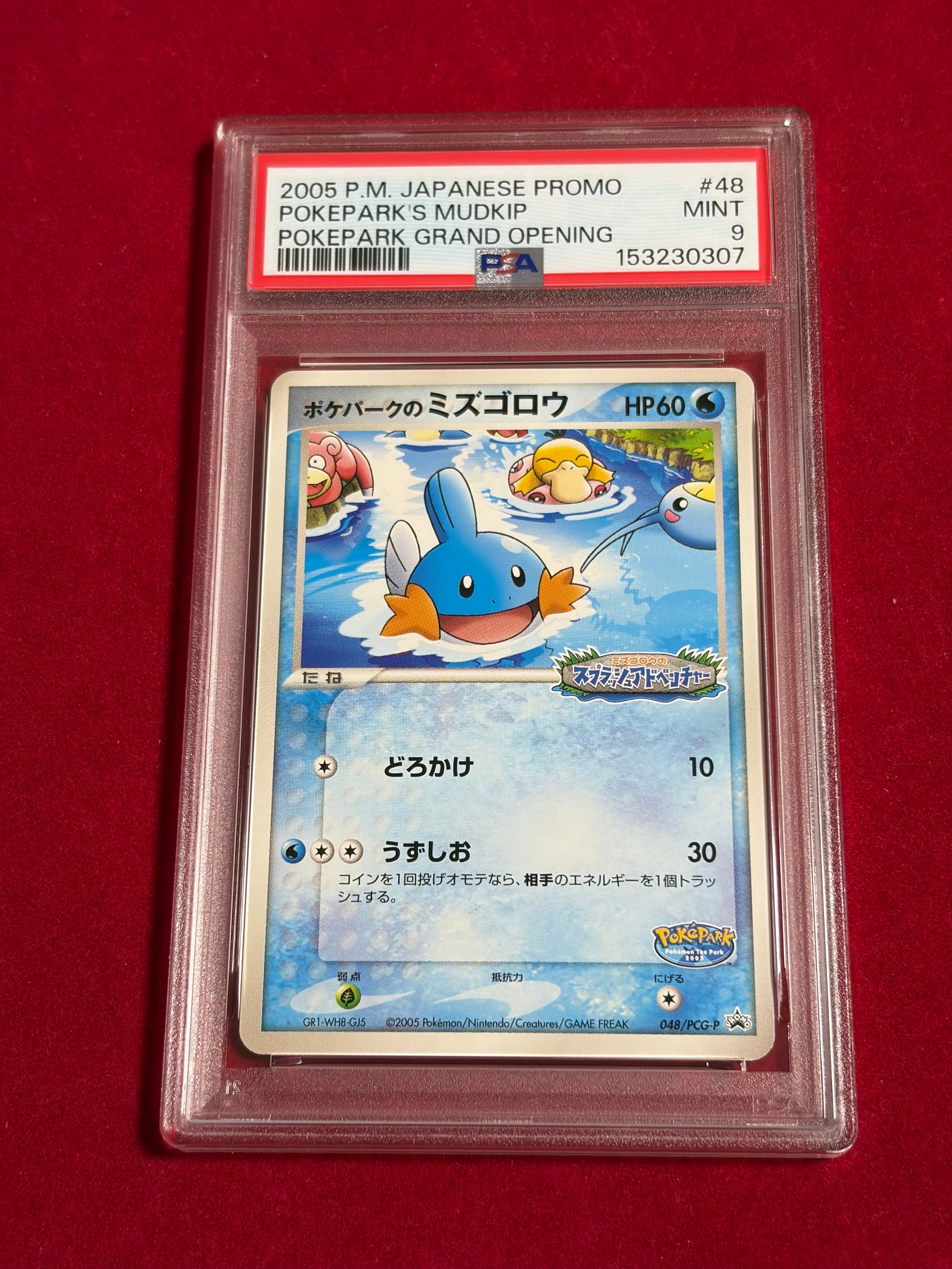 ポケパークのミズゴロウ P [PCG-P 048](プロモーションカード