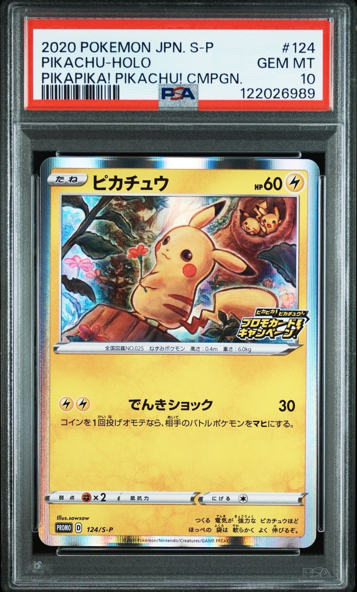 ピカチュウ: プロモ P [S-P 124](ピカピカ!ピカチュウ!プロモカードキャンペーン)