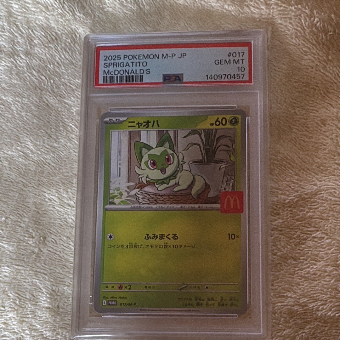 とりかえっこプリーズ！ 282/XY-P PROMO Pokemon Card Game/☆Promotional Cards]とりかえっこプリーズ! 282/XY