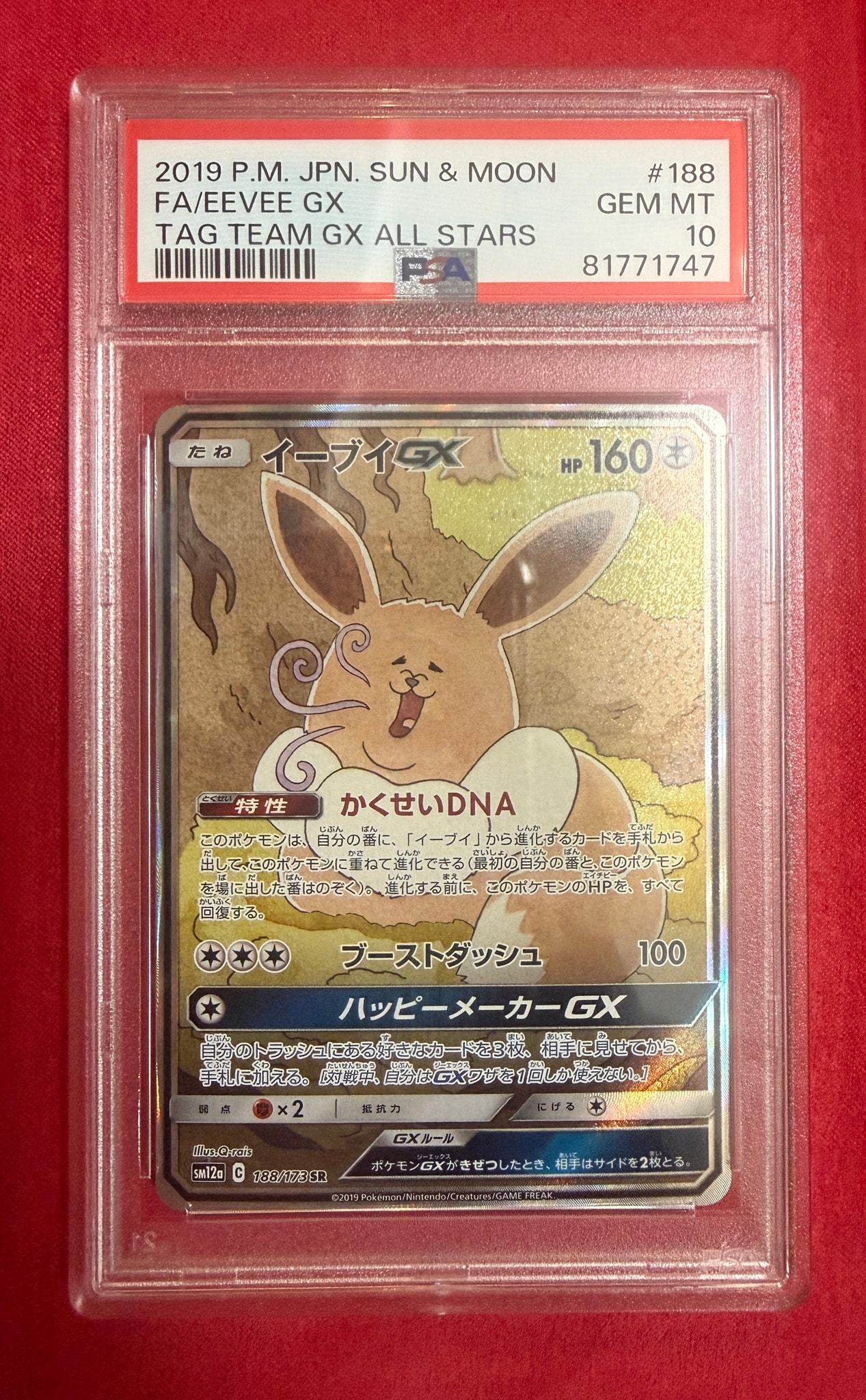 イーブイGX SR: SA[SM12a 188/173](ハイクラスパック「TAG TEAM GX