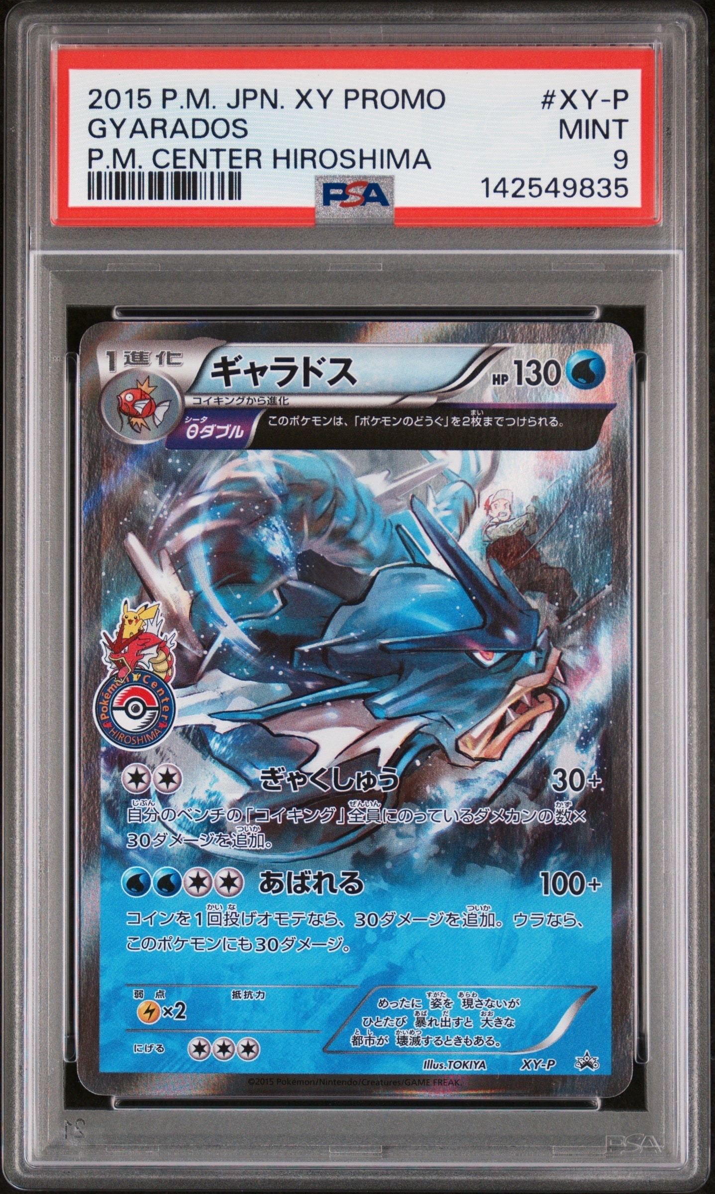 ギャラドス: プロモ[XY-P](プロモーションカード「XY-P」)の新品/中古