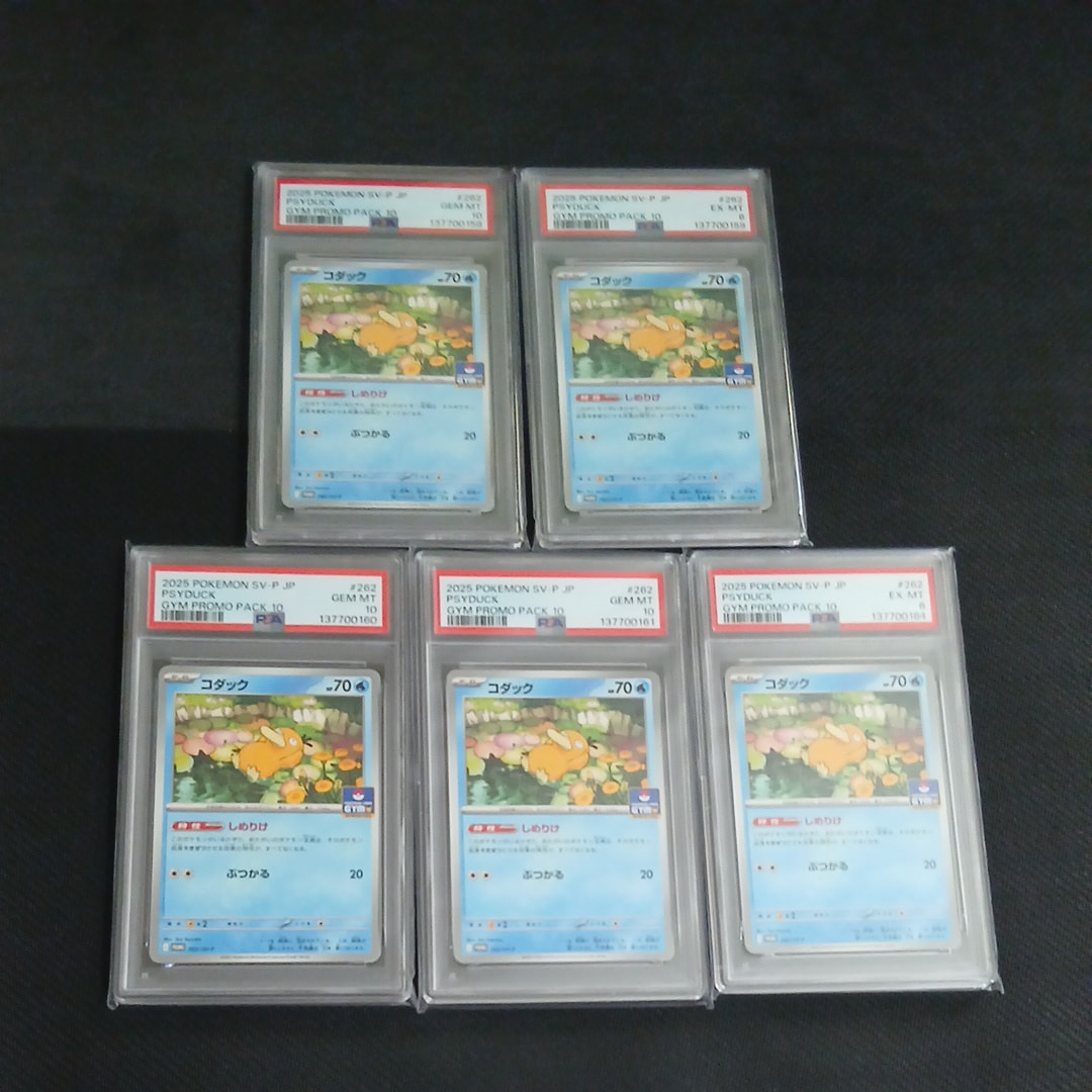 コダック P [SV-P 262](プロモカードパック「第10弾」)の新品/中古