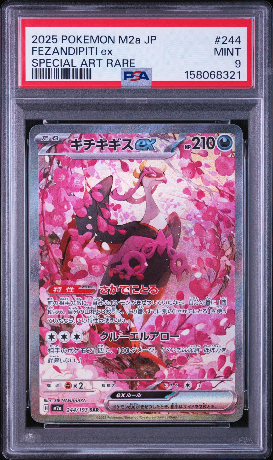 PSA10】キチキギスex SAR [M2a 244/193](ハイクラスパック「MEGA