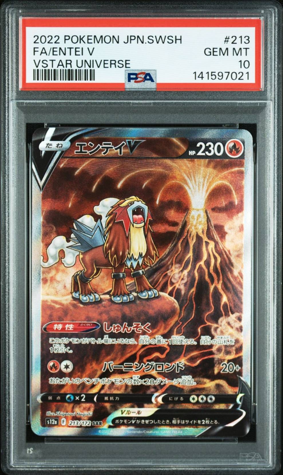 エンテイV SAR[s12a 213/172](ハイクラスパック「VSTARユニバース」)