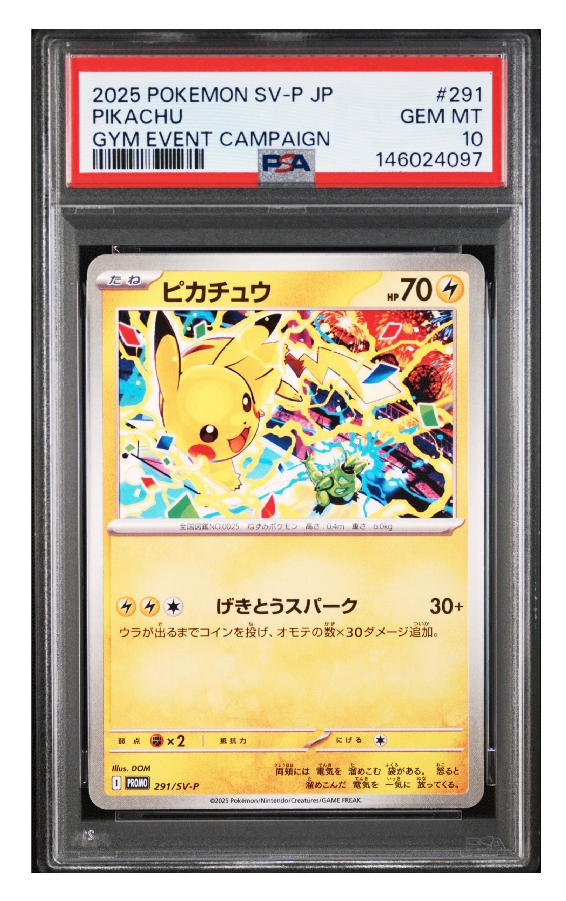 ピカチュウ: プロモ P [S-P 125](ピカピカ！ピカチュウ！プロモカード