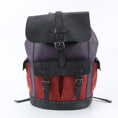 ■極美品 コーチF76928 リュックサック レザー
