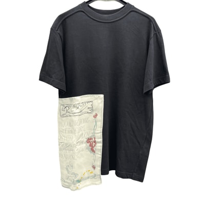 DIOR 美品 ディオール 19AW RAYMOND PETTIBON レイモンド ペティボン Tシャツ #M 943J609G0554 ドッキング コットン シルク カットソー christian クリスチャン ABランク 中古 鑑定済 ディオールTシャツ