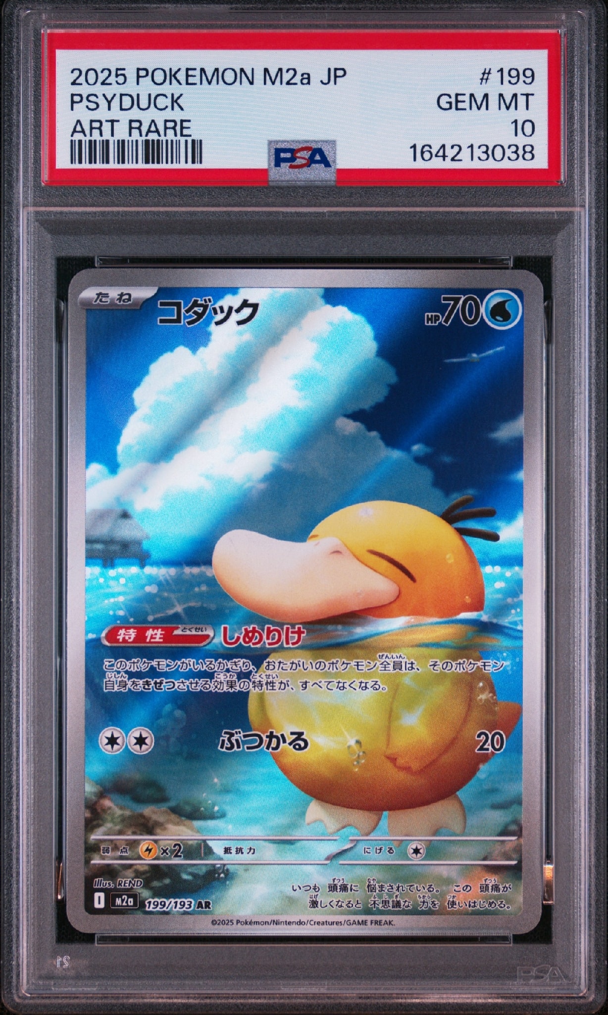 コダック AR [M2a 199/193](ハイクラスパック「MEGAドリームex」)通販