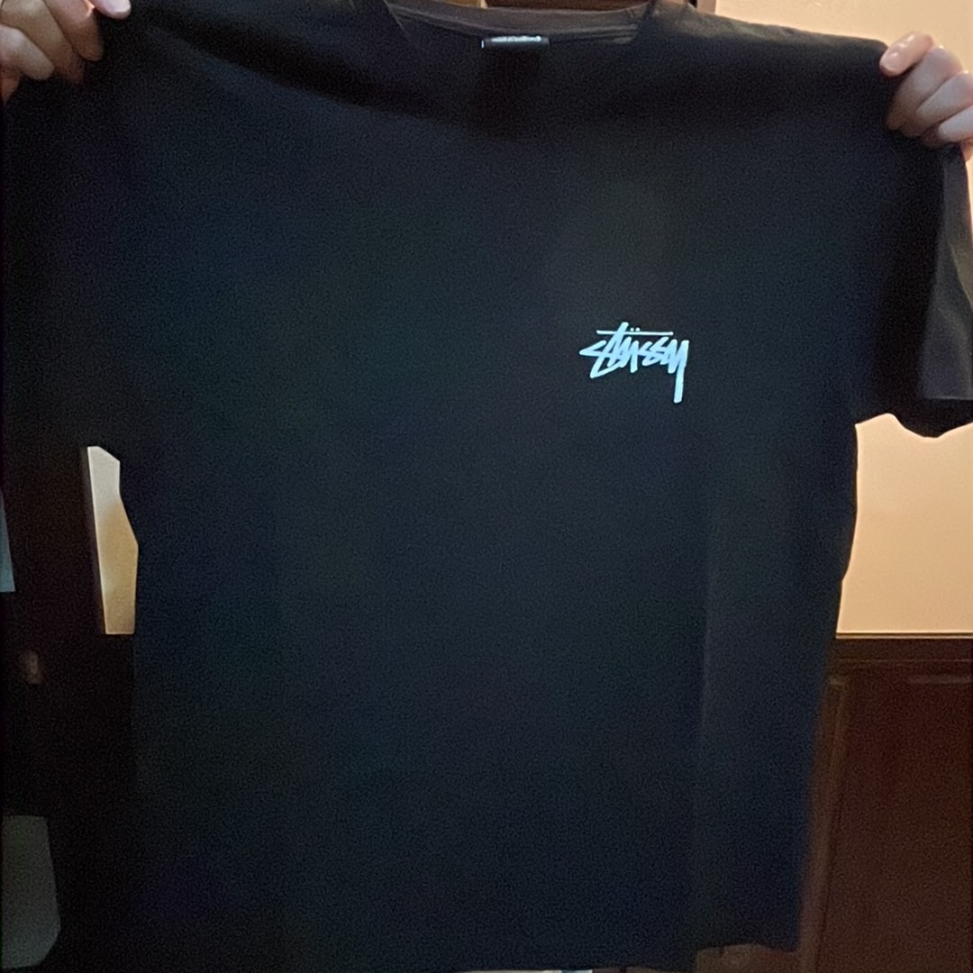 Stussy Toucan Tee "Black"