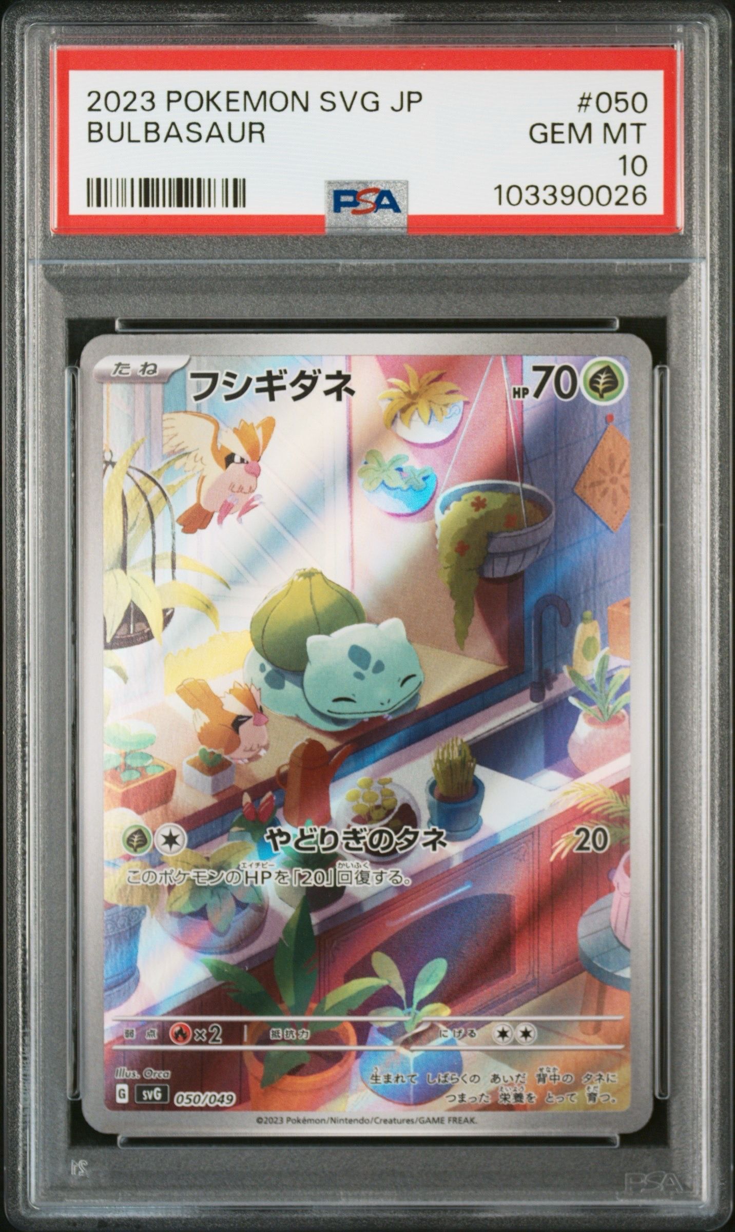 フシギダネ :フルイラスト [SVG 050/049](スペシャルデッキセットex「フシギバナ・リザードン・カメックス」)