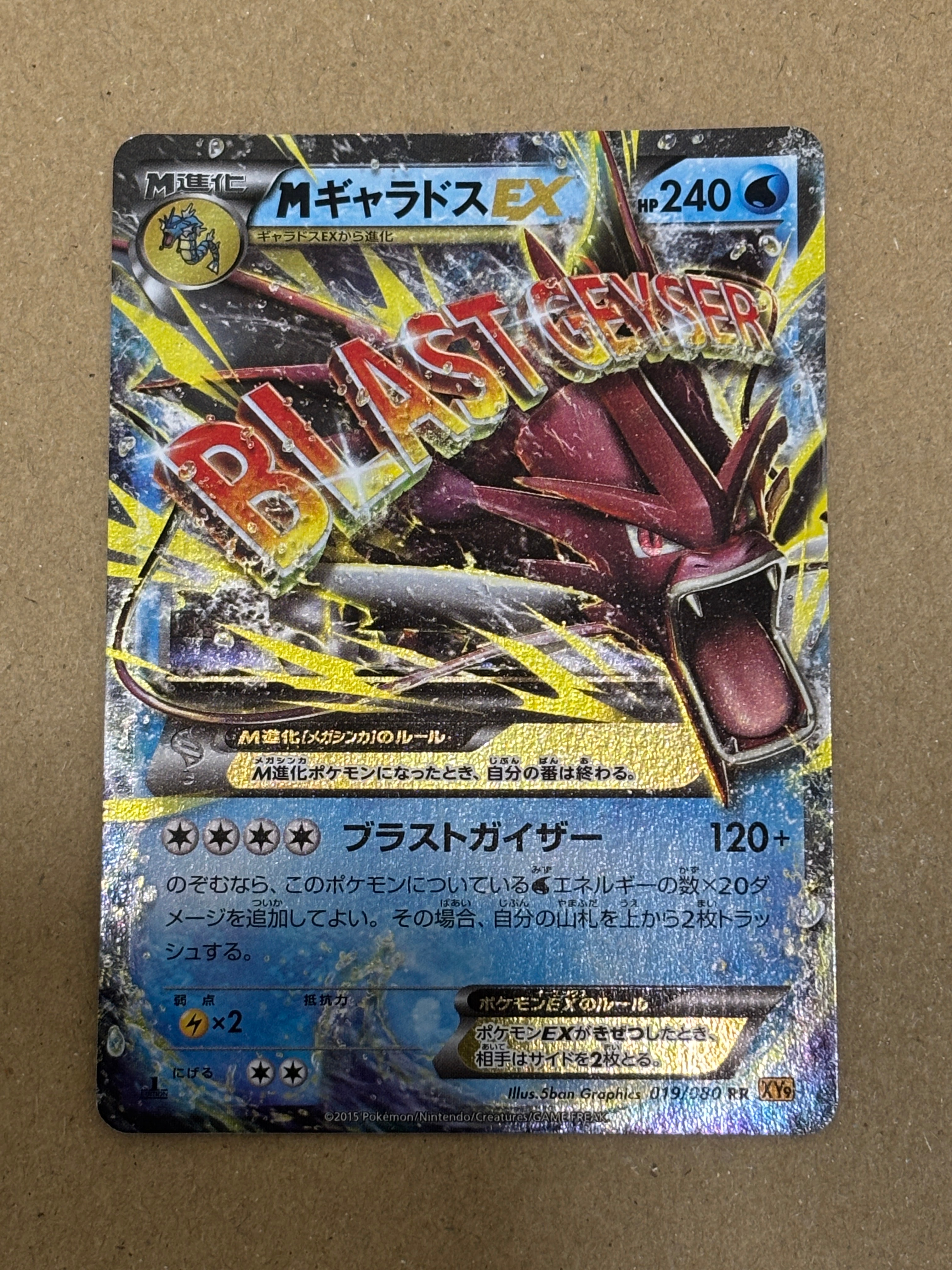 MギャラドスEX ギャラドスEX(SR)(XY9-B-081-080)｜ポケカ通販サイト
