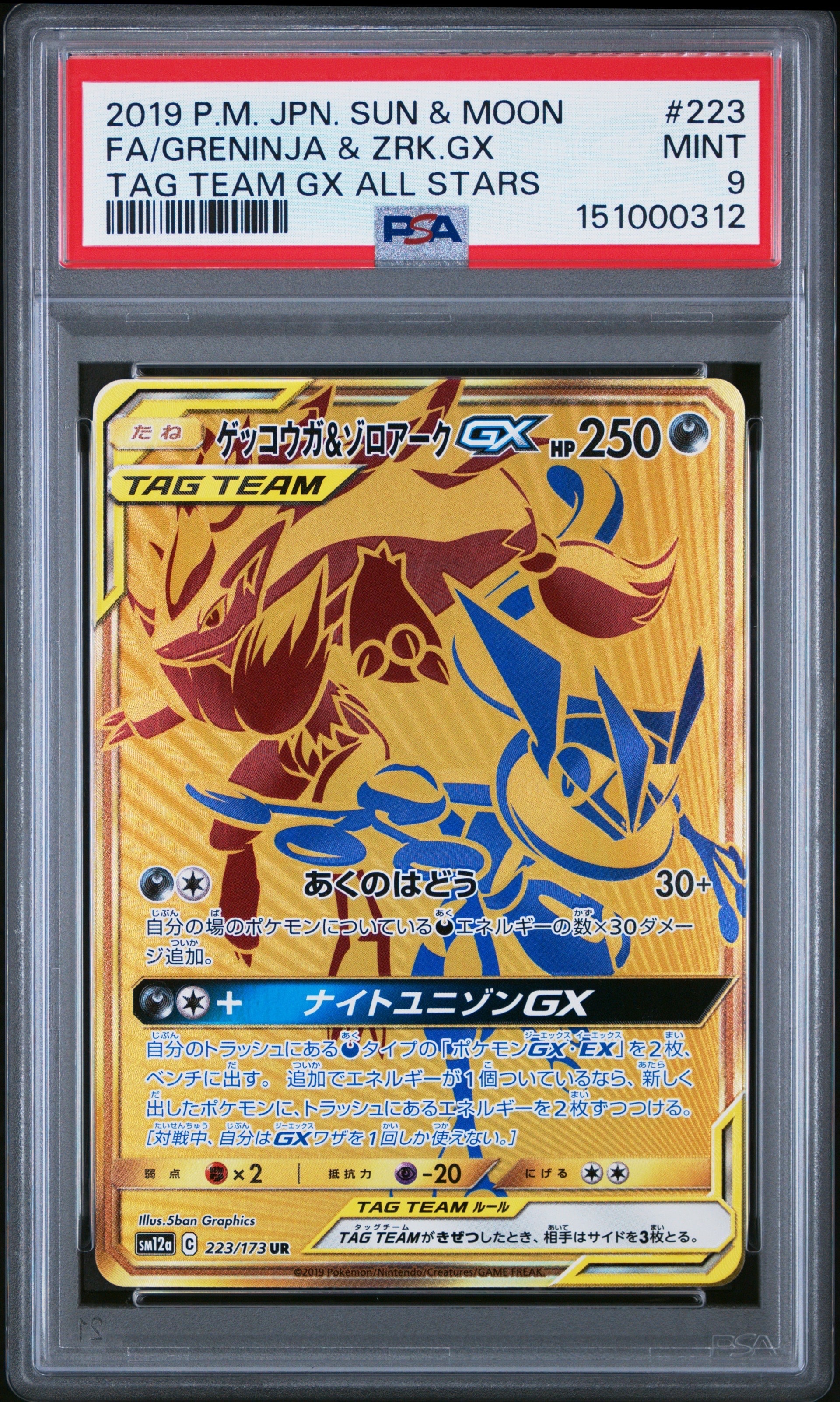 ゲッコウガ&ゾロアークGX UR[SM12a 223/173](ハイクラスパック「TAG
