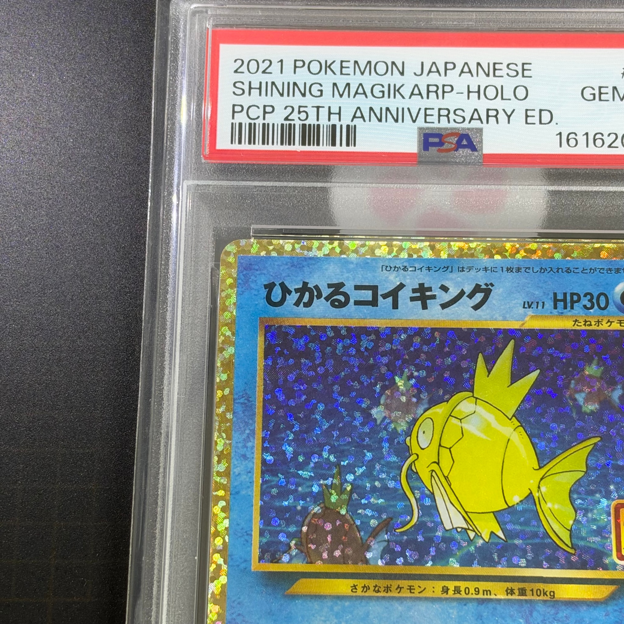 PSA10】ひかるコイキング: プロモ[S8a-P 010/025](プロモカードパック