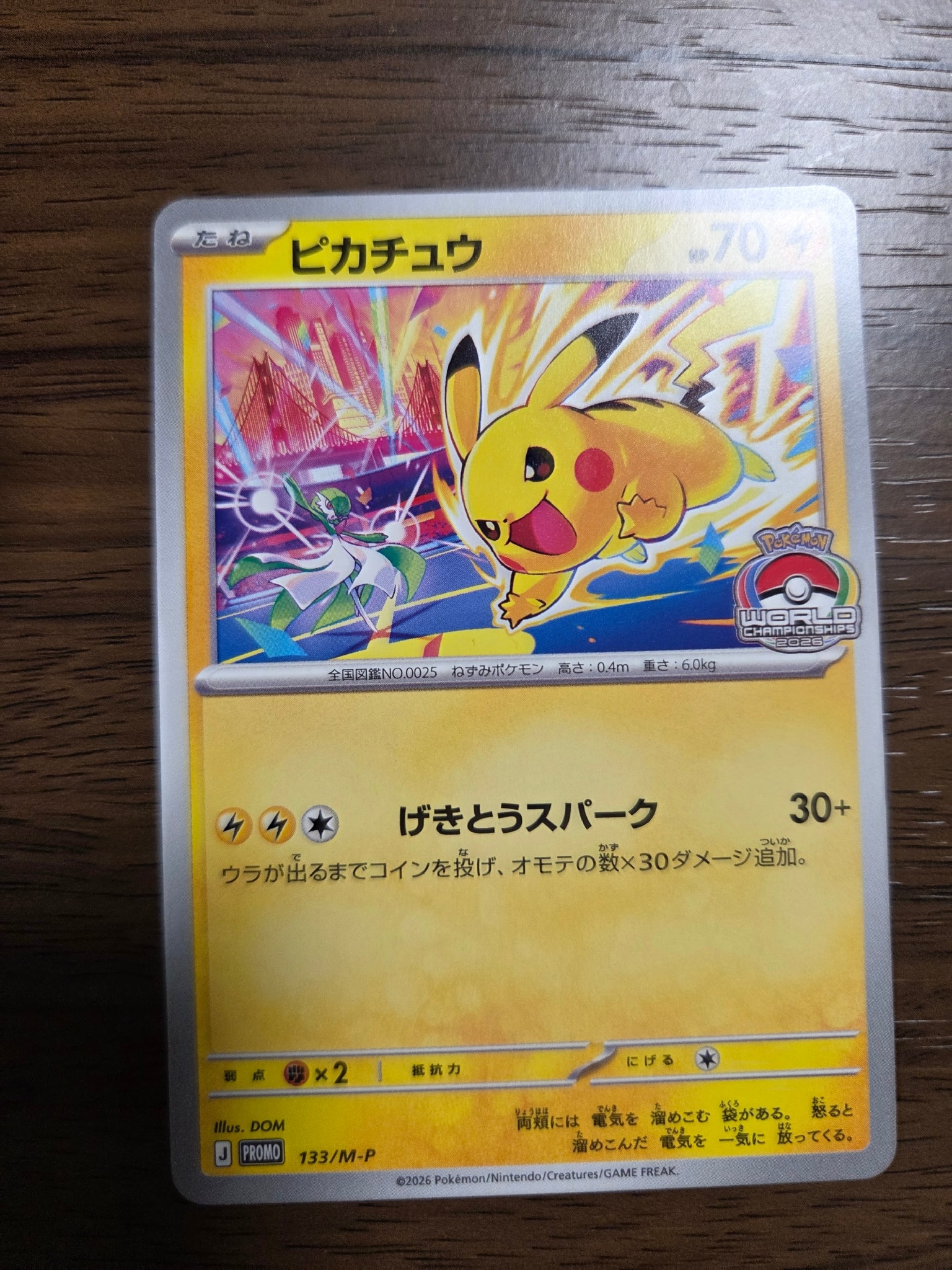 ポケモンカード ピカチュウ 133/S-P 6枚セット ポケモンカード ピカチュウ 133/M-P 6枚セット ポケモンカード