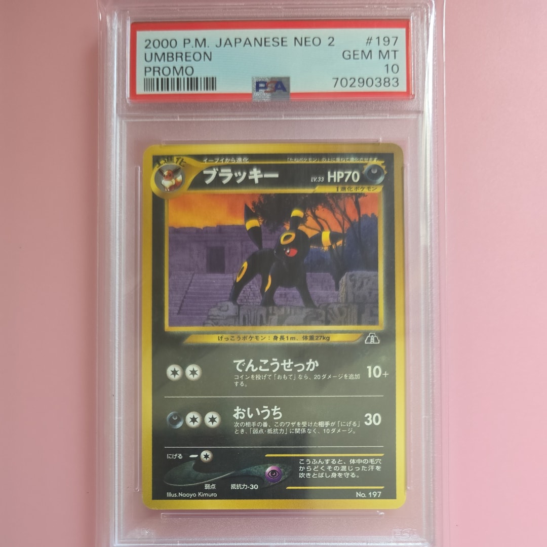PSA10ブラッキープレミアムファイル2: ポケモンカード 旧裏 プレミアム