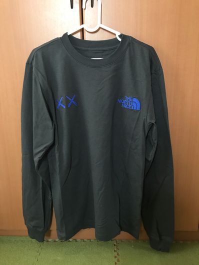 The North Face Kaws L/S Tee "Asphalt Grey"