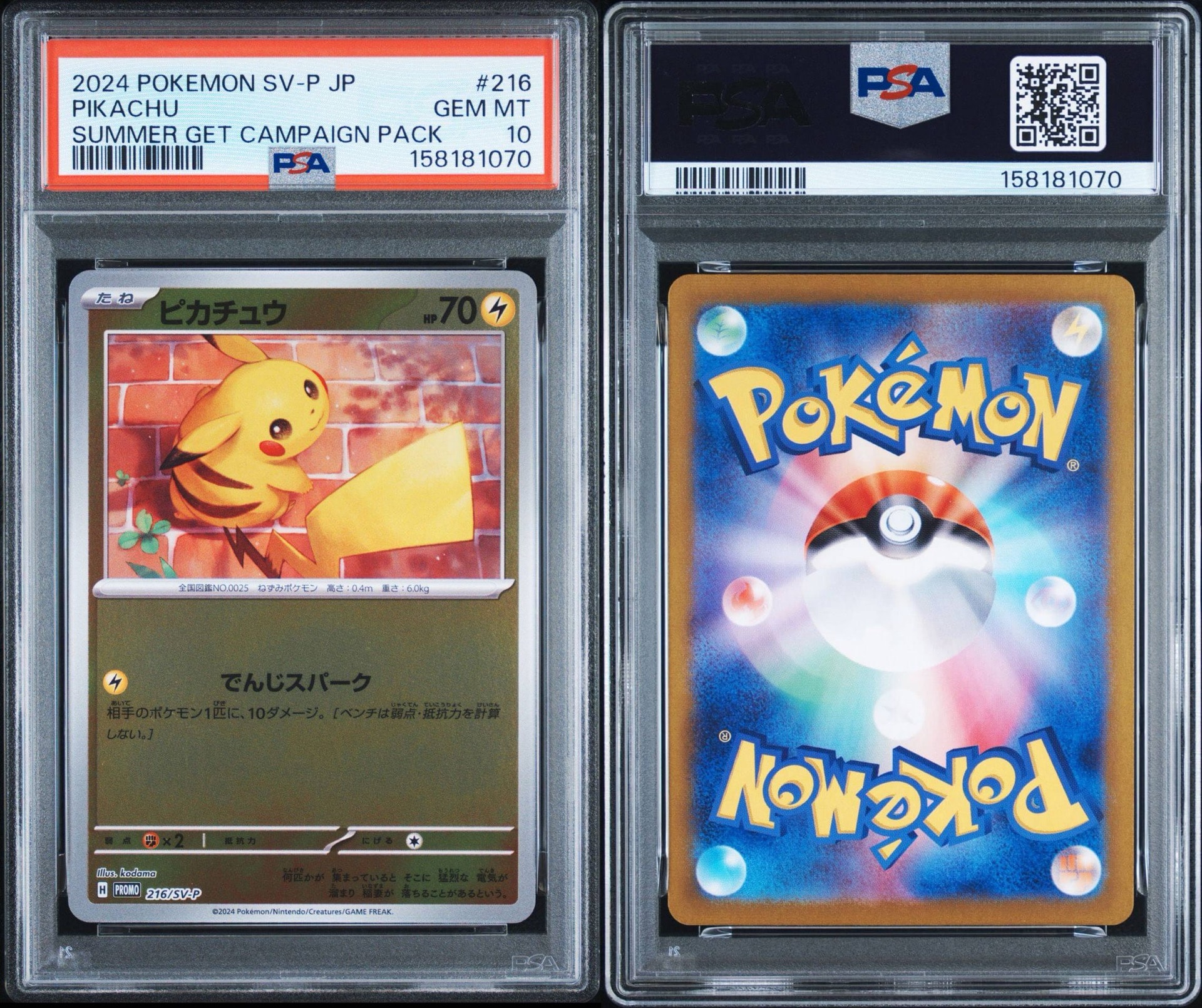 PSA10】ピカチュウ P [SV-P 216](プロモカードパック「ポケカの夏が