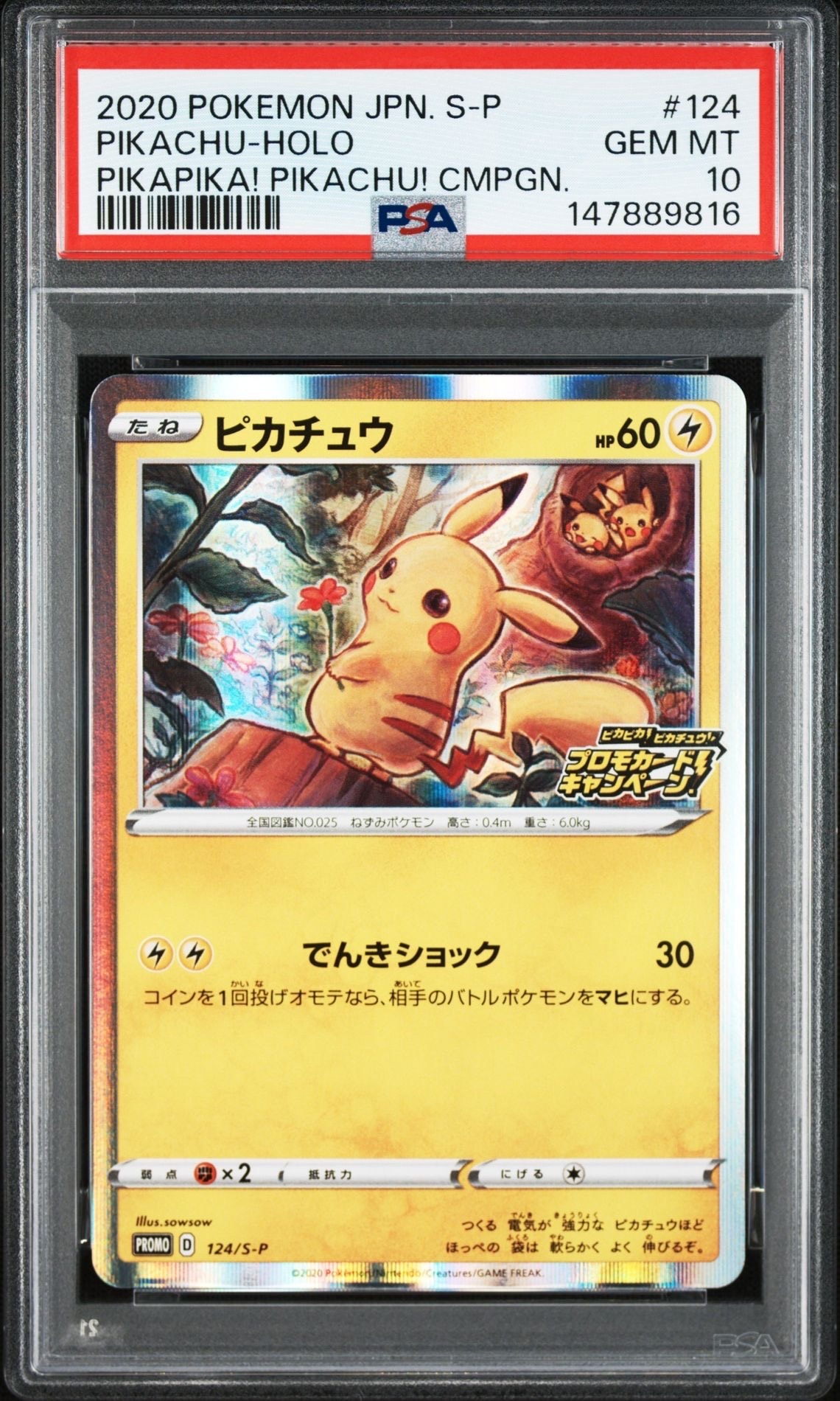 ピカチュウ: プロモ P [S-P 124](ピカピカ!ピカチュウ!プロモカードキャンペーン)