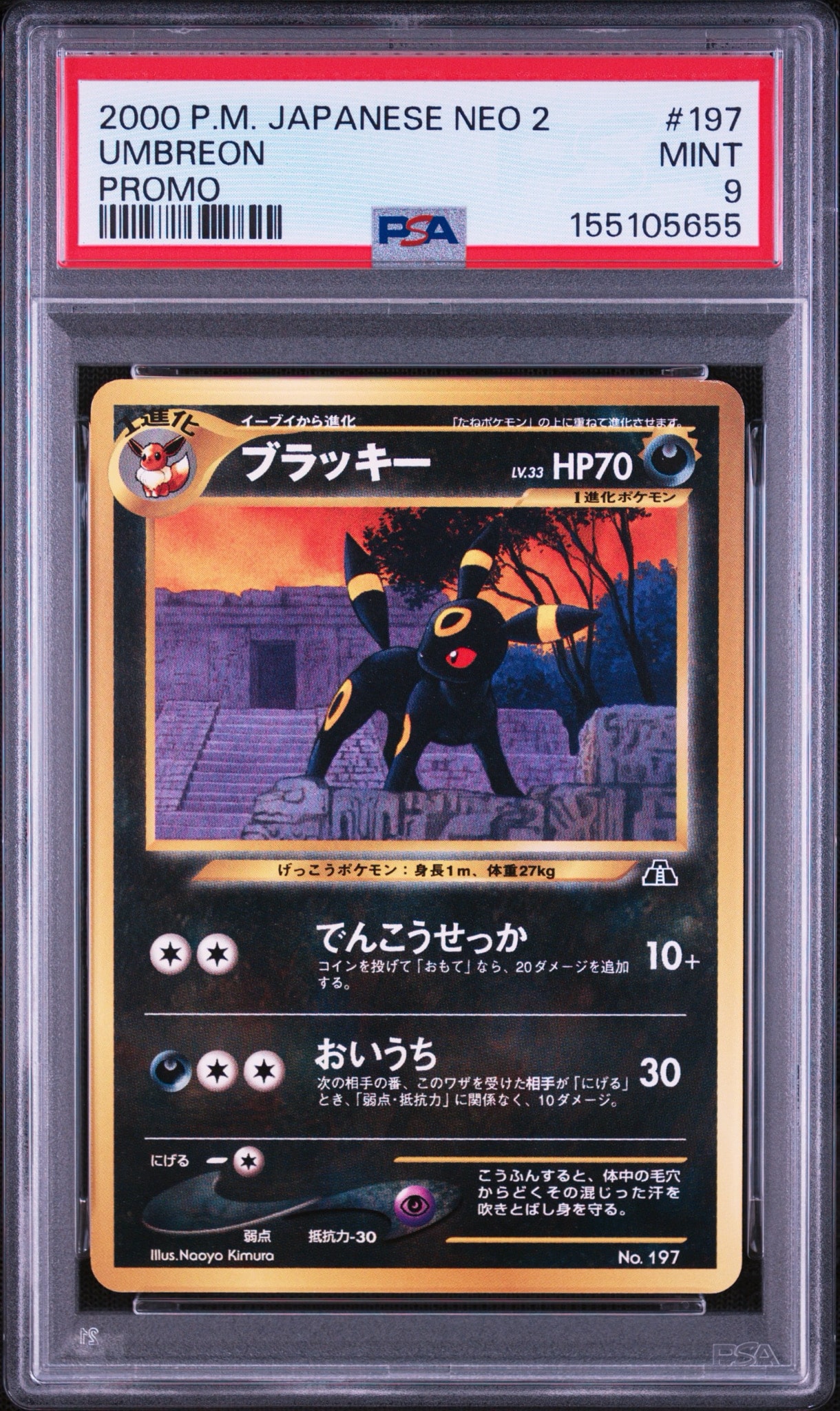 希*子様 ブラッキー PSA10 プレミアムファイル2 ポケモンカードneo 旧 PSA10】ブラッキープレミアムファイル2: 旧裏[neoP2 No.197