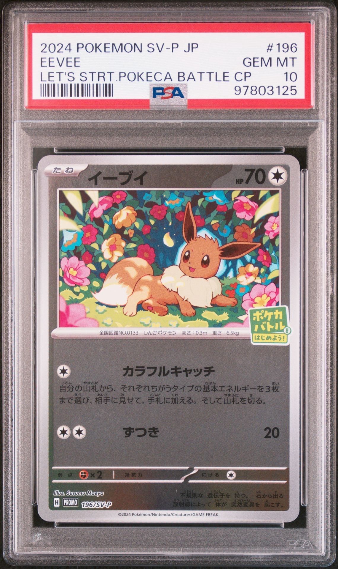 イーブイ P [SV-P-SM 196](プロモカードパック「ポケカバトルをはじめよう!キャンペーン」)
