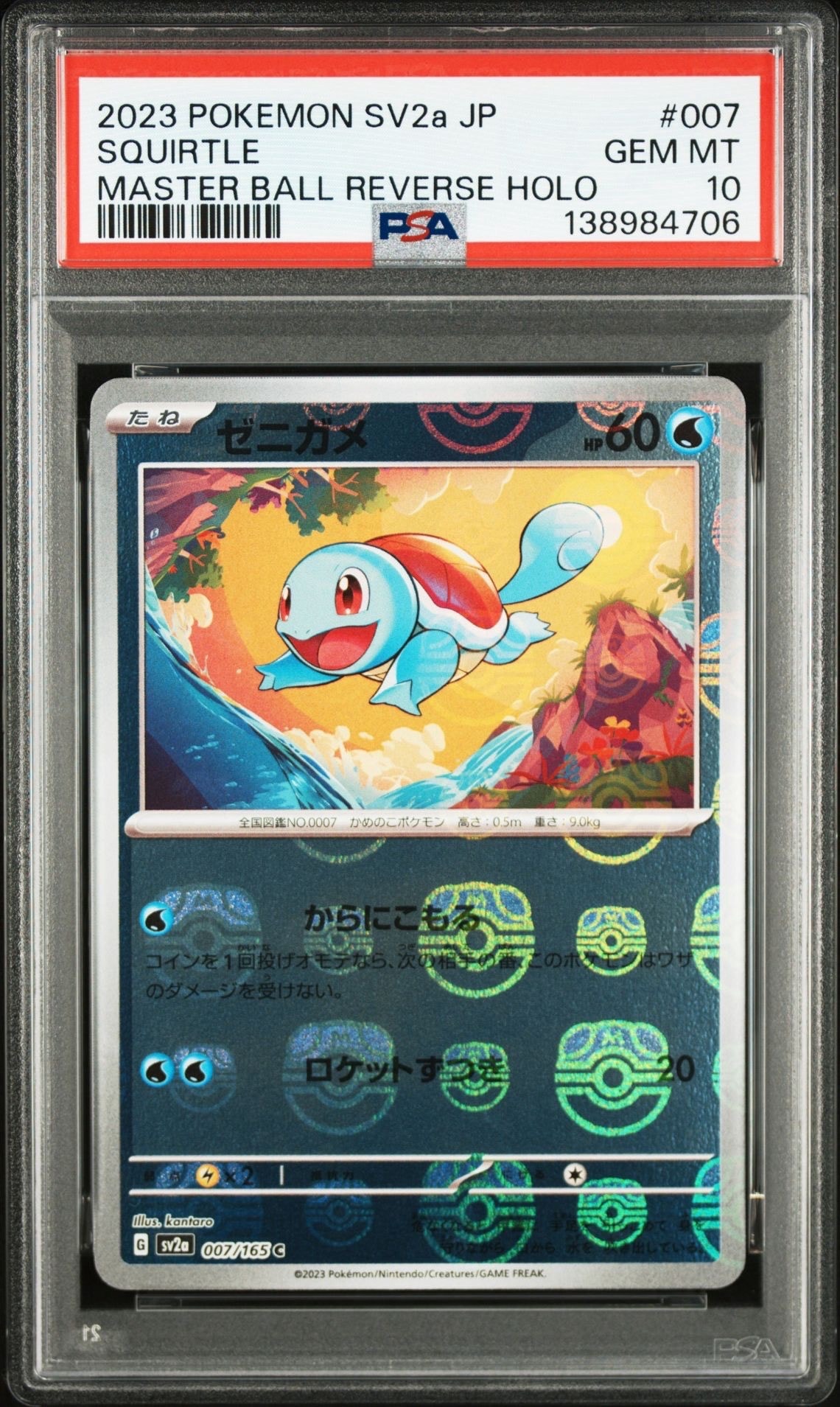 連番PSA10】ゼニガメ カメール C U 151 カメール カメックス ゼニガメ