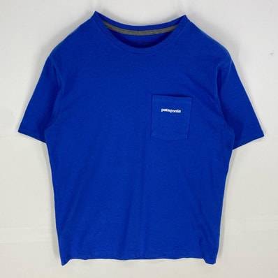 古着 パタゴニア patagonia 半袖Tシャツ クルーネック ショートスリーブ ロゴ アウトドア S ブルー系 バックプリント メンズ