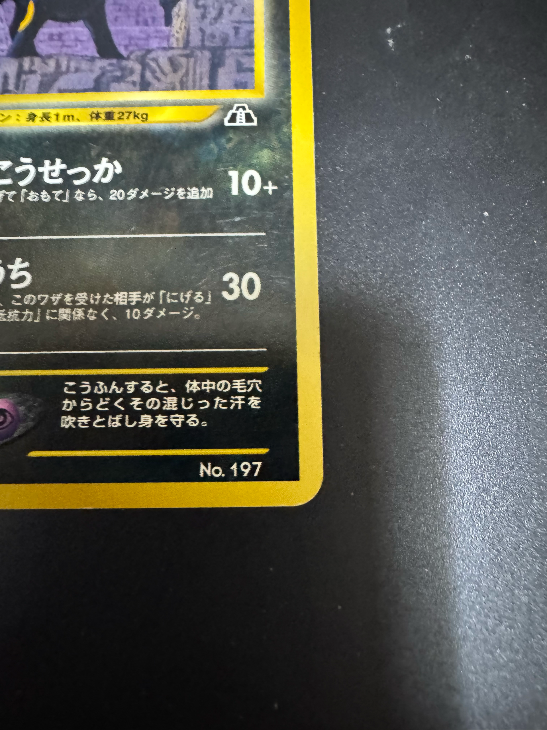 B（小さなキズ/ソリがある品）】ブラッキープレミアムファイル2: 旧裏