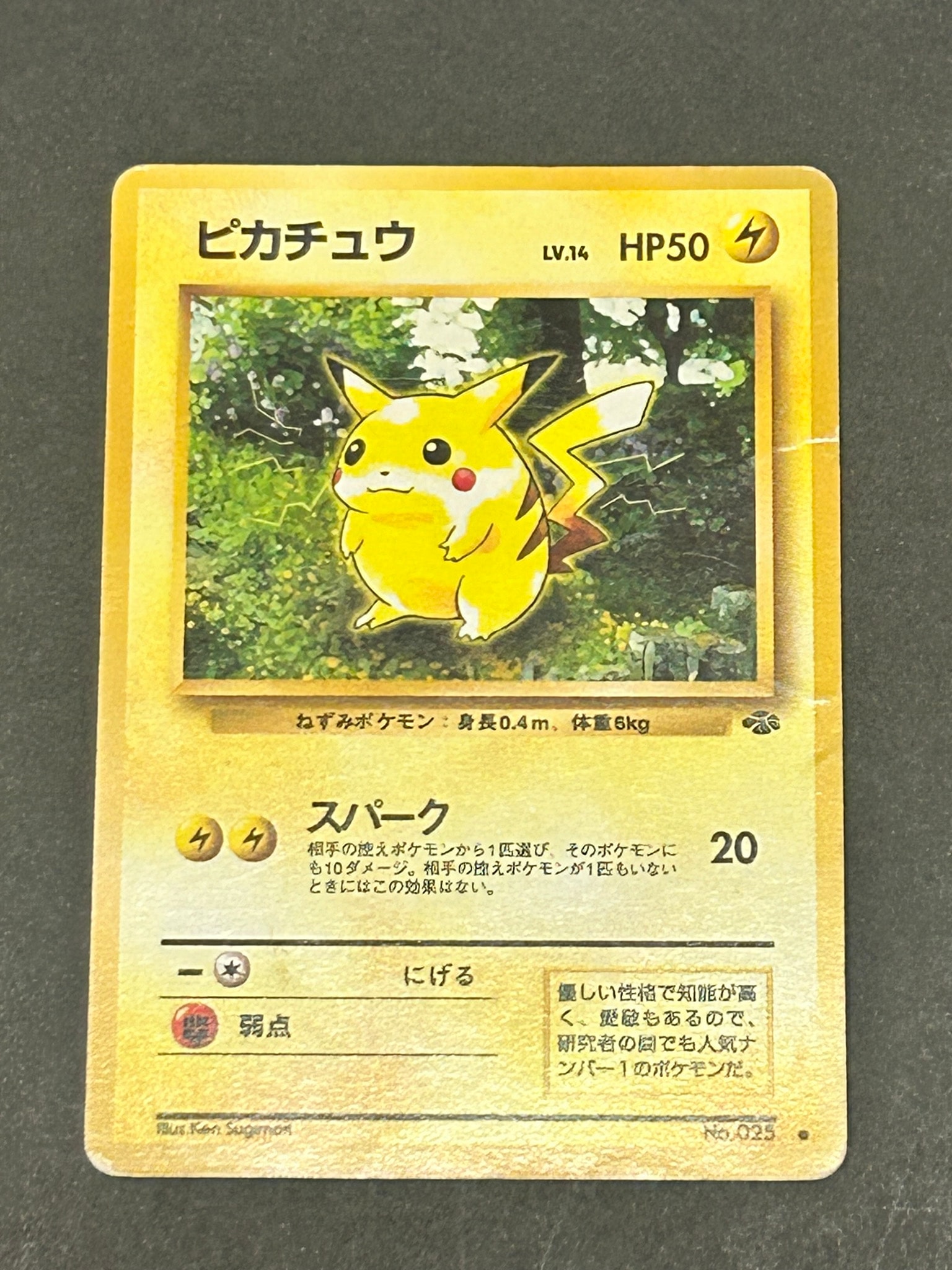 ピカチュウ ○ : 旧裏 [PMCG2 No.025](拡張パック「ポケモンジャングル