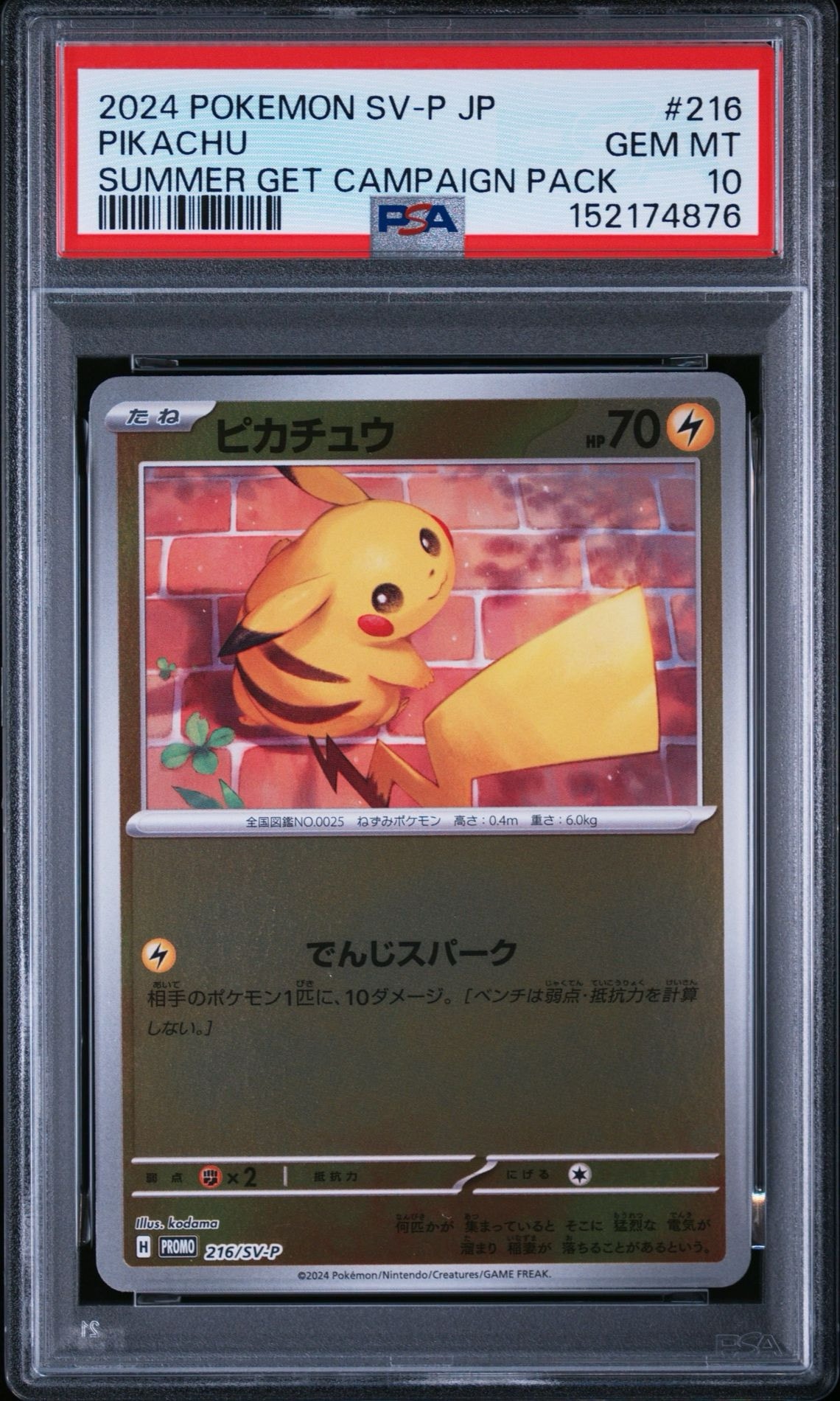 ピカチュウ P [SV-P 216](プロモカードパック「ポケカの夏がキタ