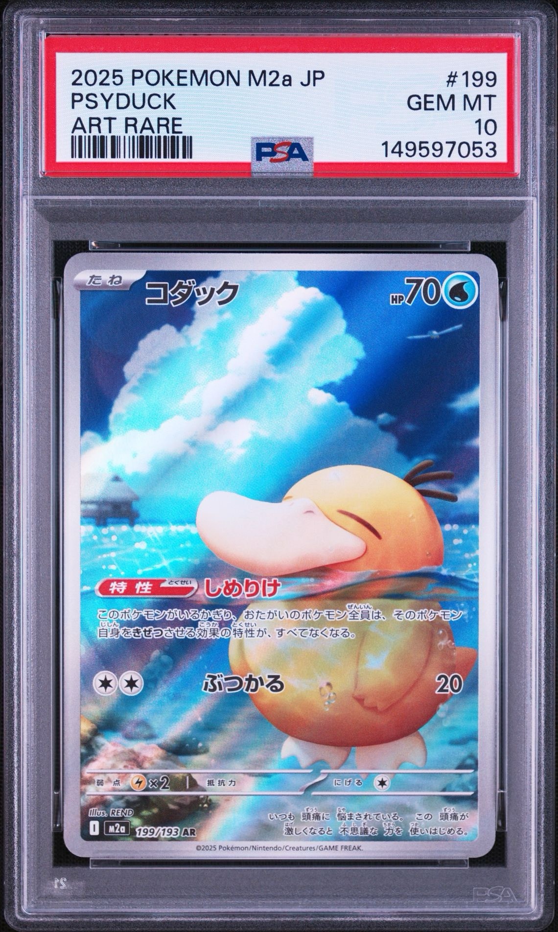 コダック AR [M2a 199/193](ハイクラスパック「MEGAドリームex」)