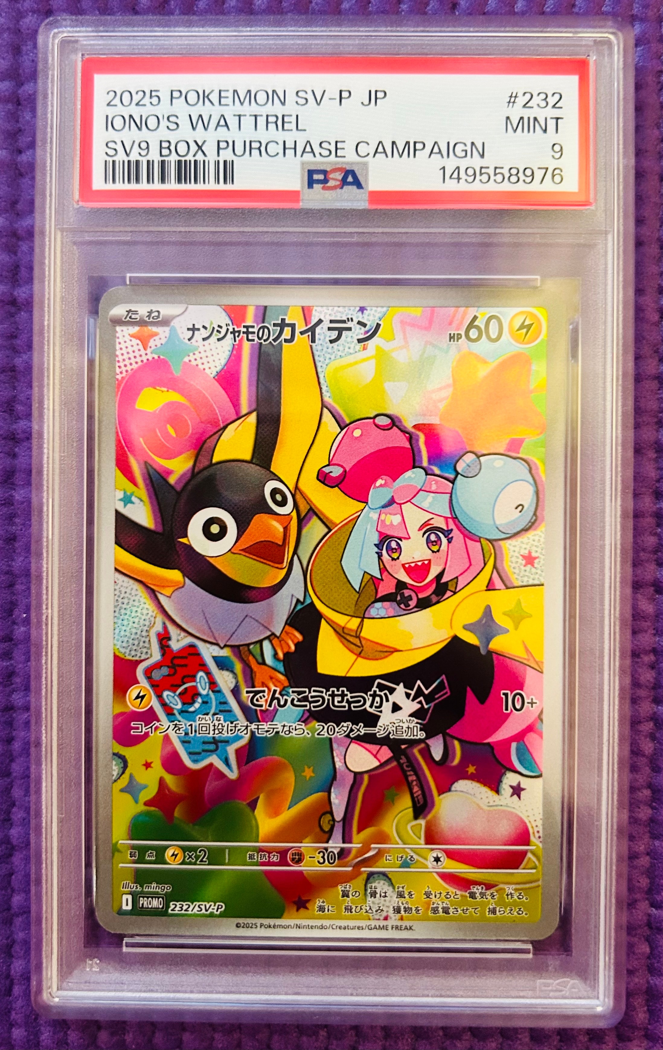 ダークライ :1ED [CP5 024/036](コンセプトパック 「幻・伝説ドリーム
