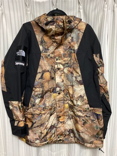 Supreme x The North Face Leaves Mountain Light Jacket "Leaves"