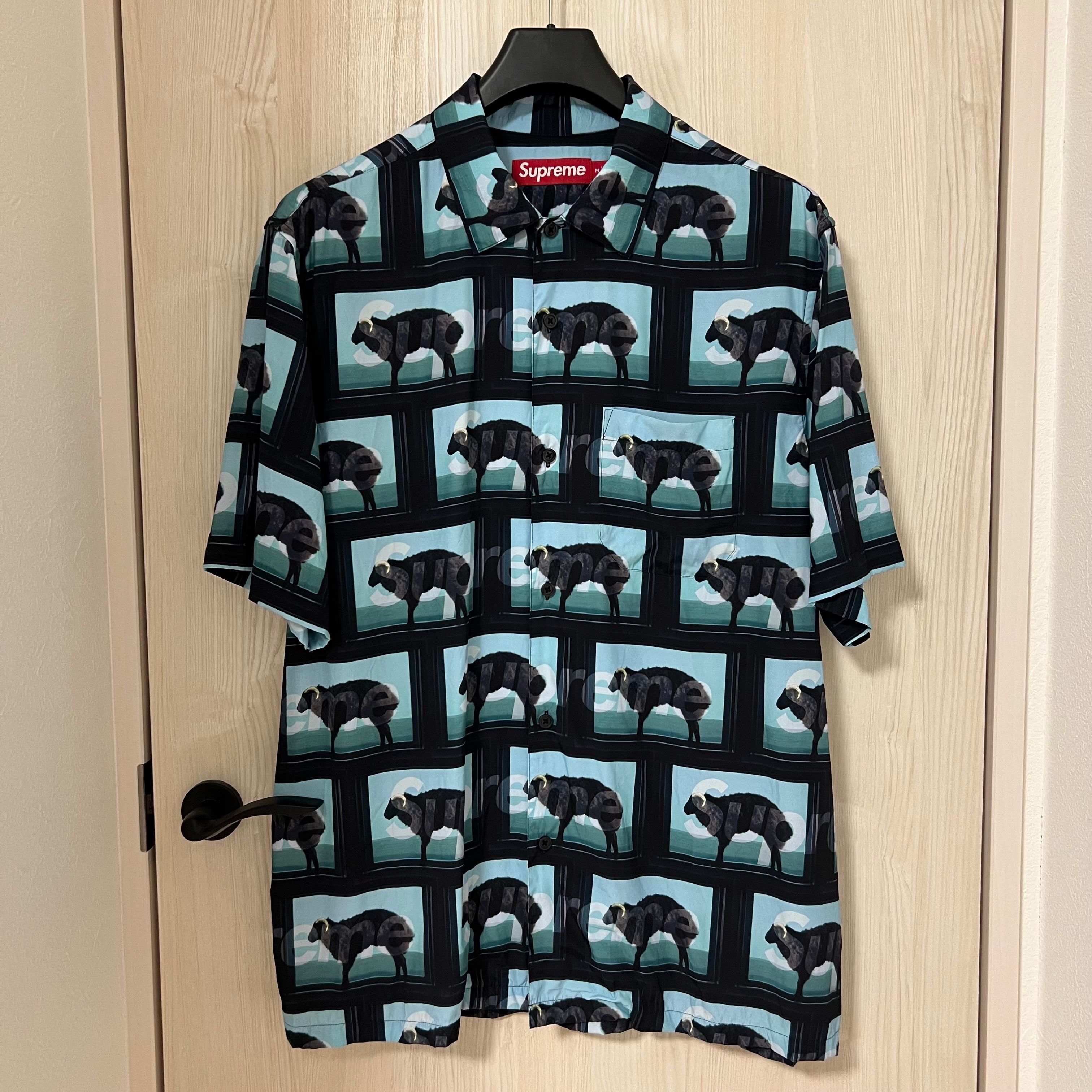 Supreme x Damien Hirst S/S Shirt 