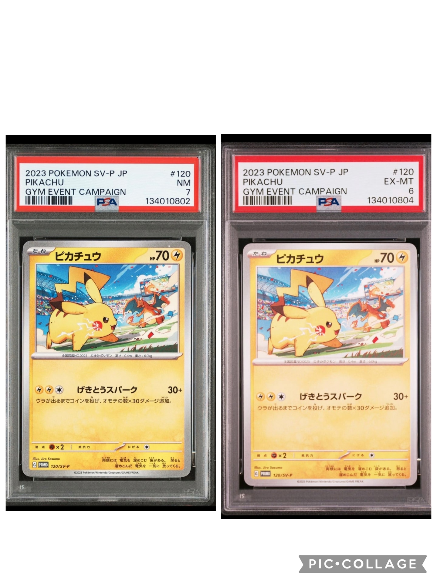 ピカチュウ: プロモ [SV-P 120](プロモーションカード「SV-P」)
